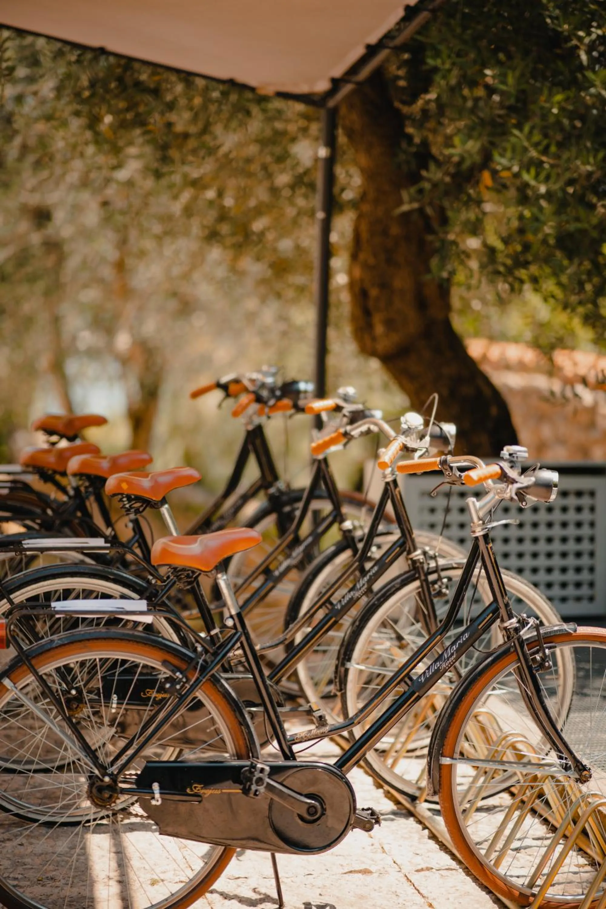 Cycling in Hotel Villa Maria Au Lac - Estella Hotels Italia