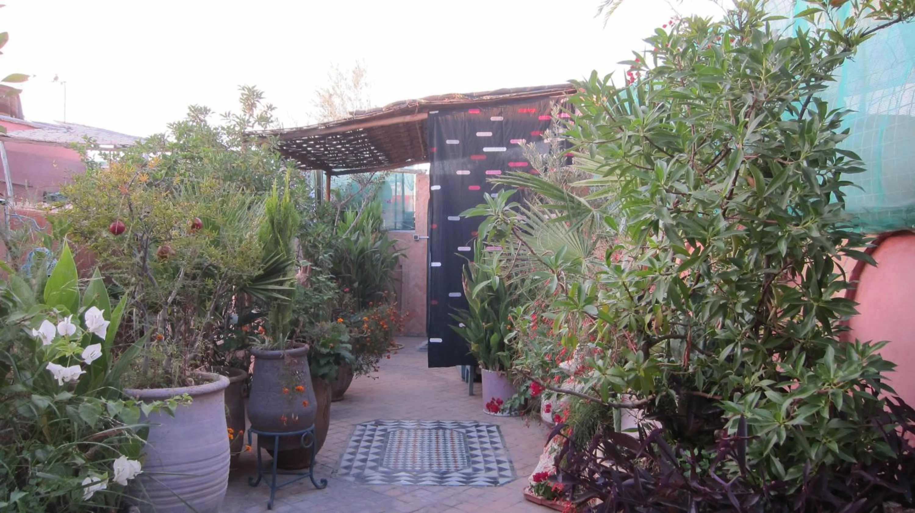 Garden in Riad Maizie