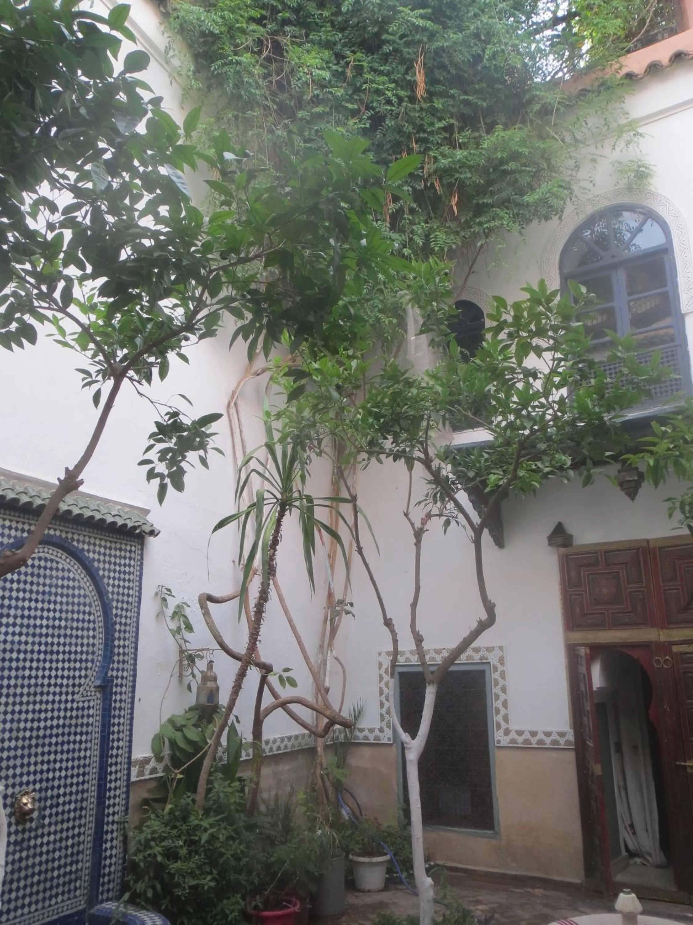 Garden in Riad Maizie