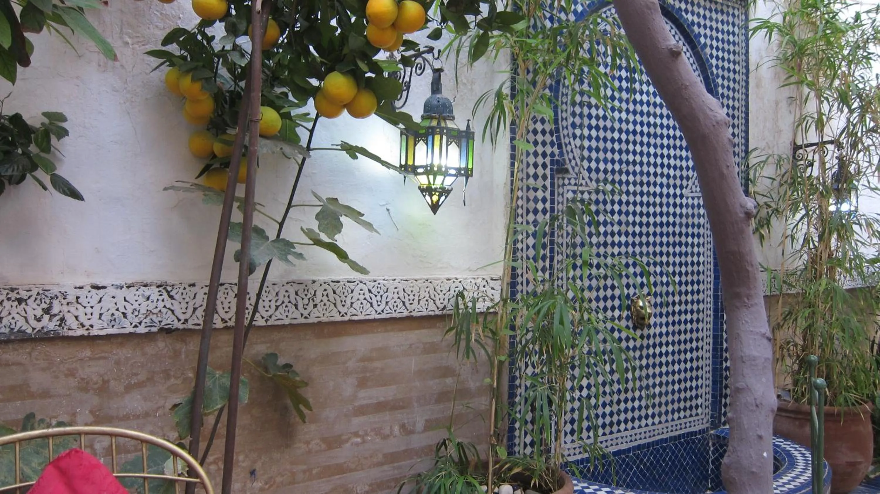 Garden in Riad Maizie