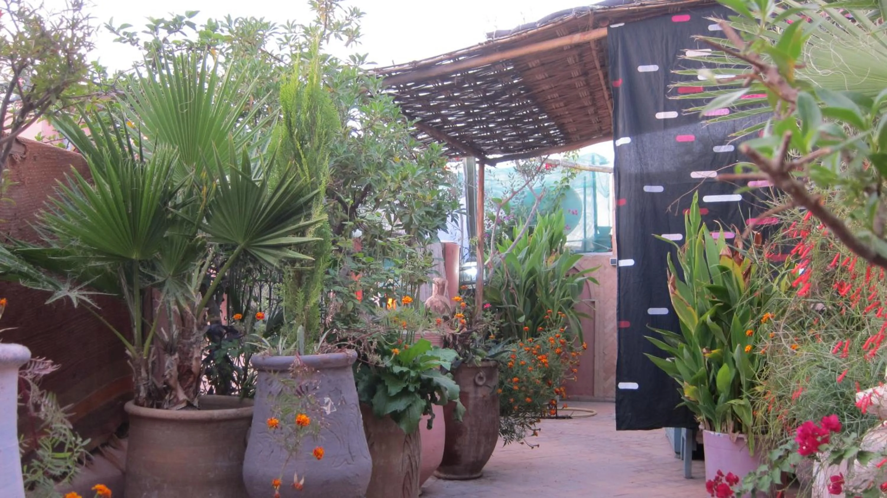 Garden view in Riad Maizie