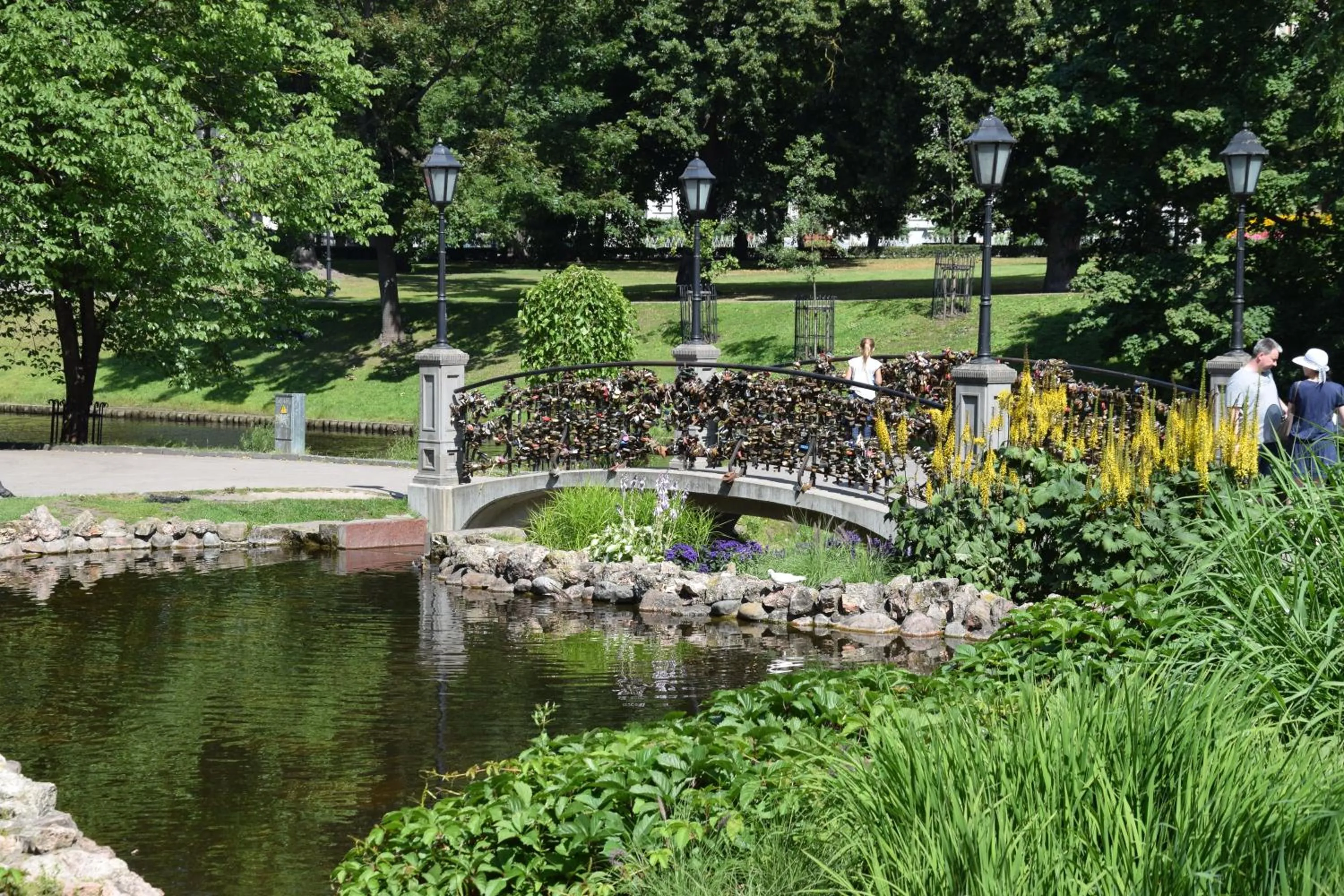 Natural landscape in Liberty