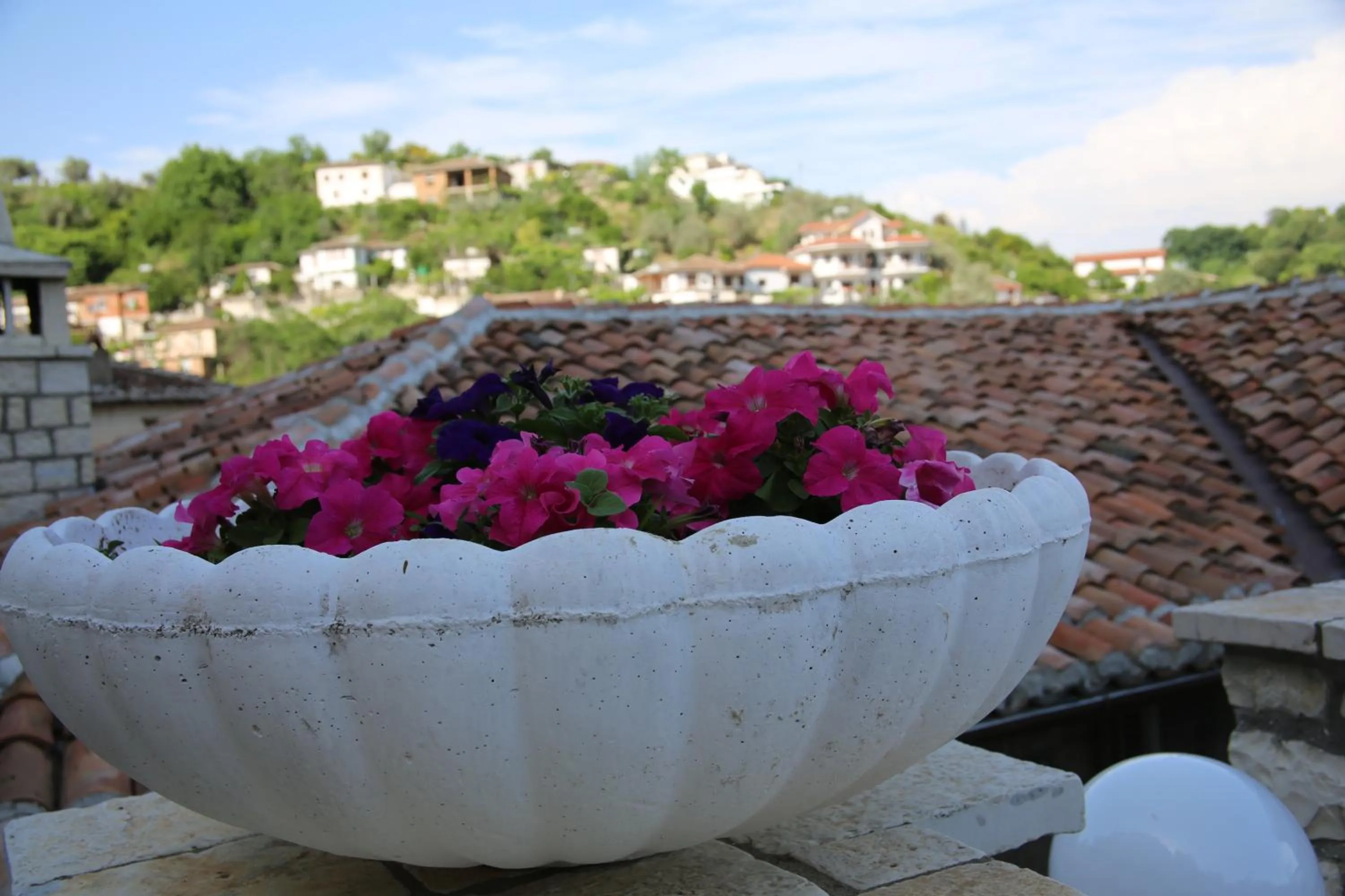 Nearby landmark in Hotel Vila Aleksander