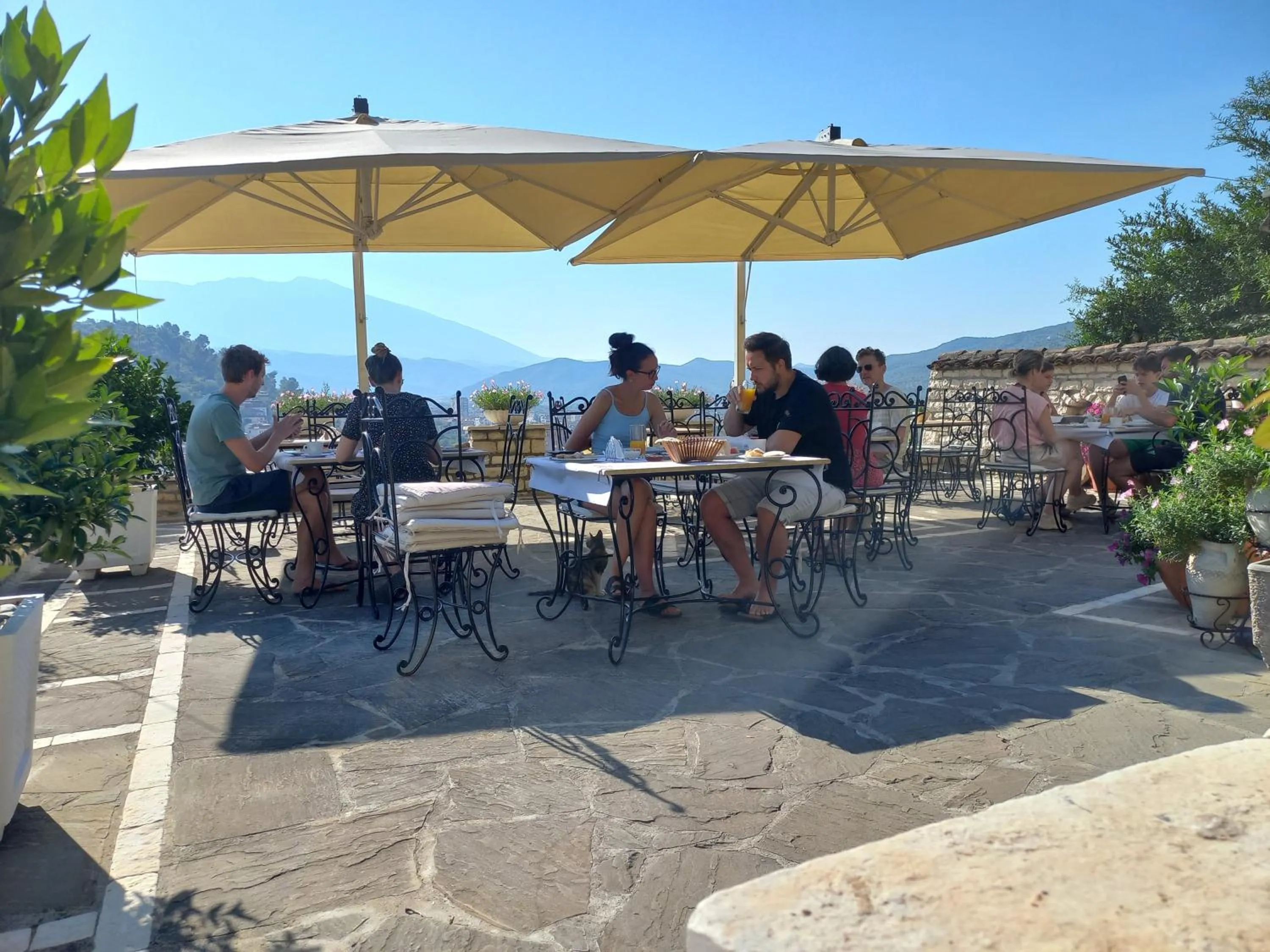 Hotel Vila Aleksander