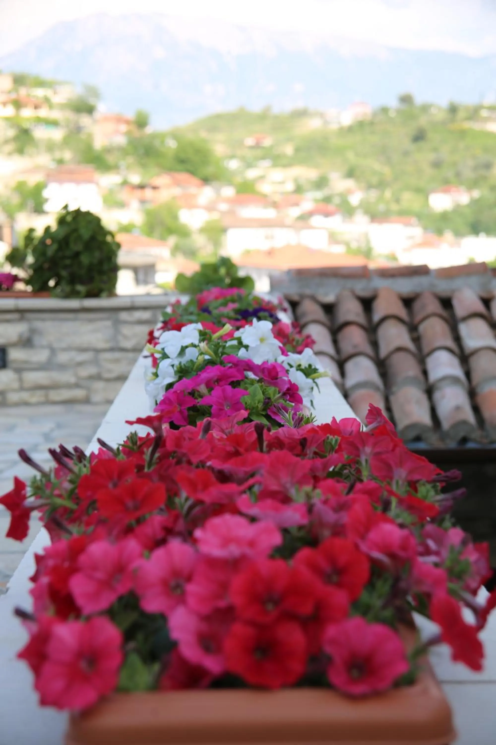 Nearby landmark in Hotel Vila Aleksander