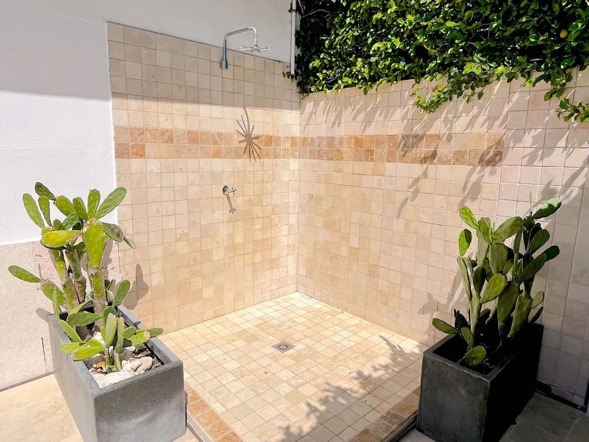 Pool view in Aruba Lagunita