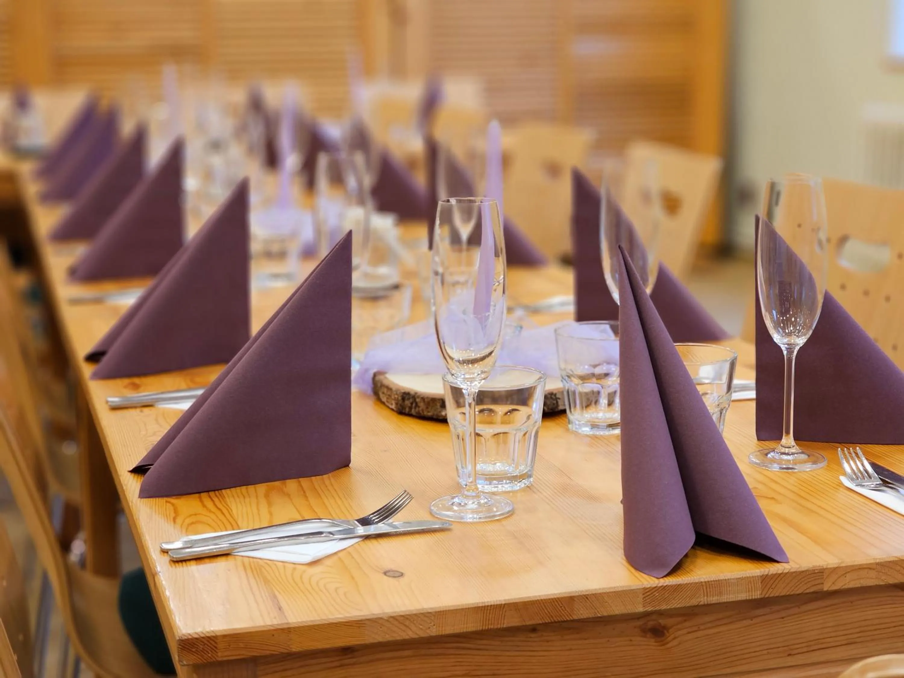 Banquet/Function facilities in Balónový hotel a pivovar Radešín