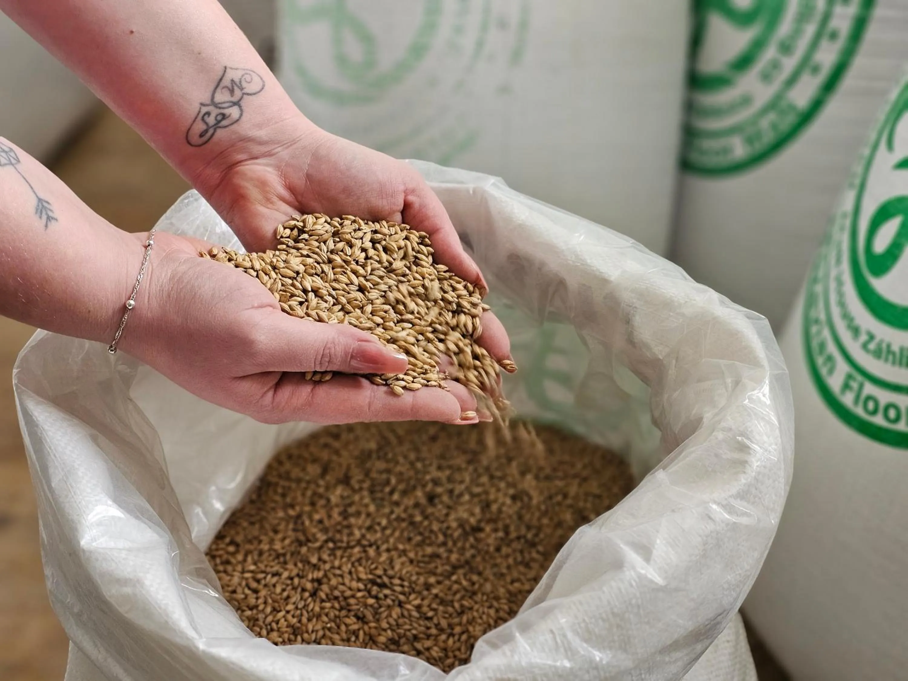 Balónový hotel a pivovar Radešín