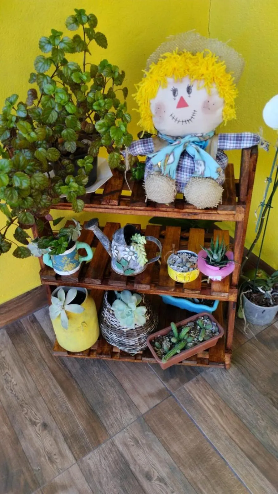 Garden in Pousada Cantinho da Mi & Teco