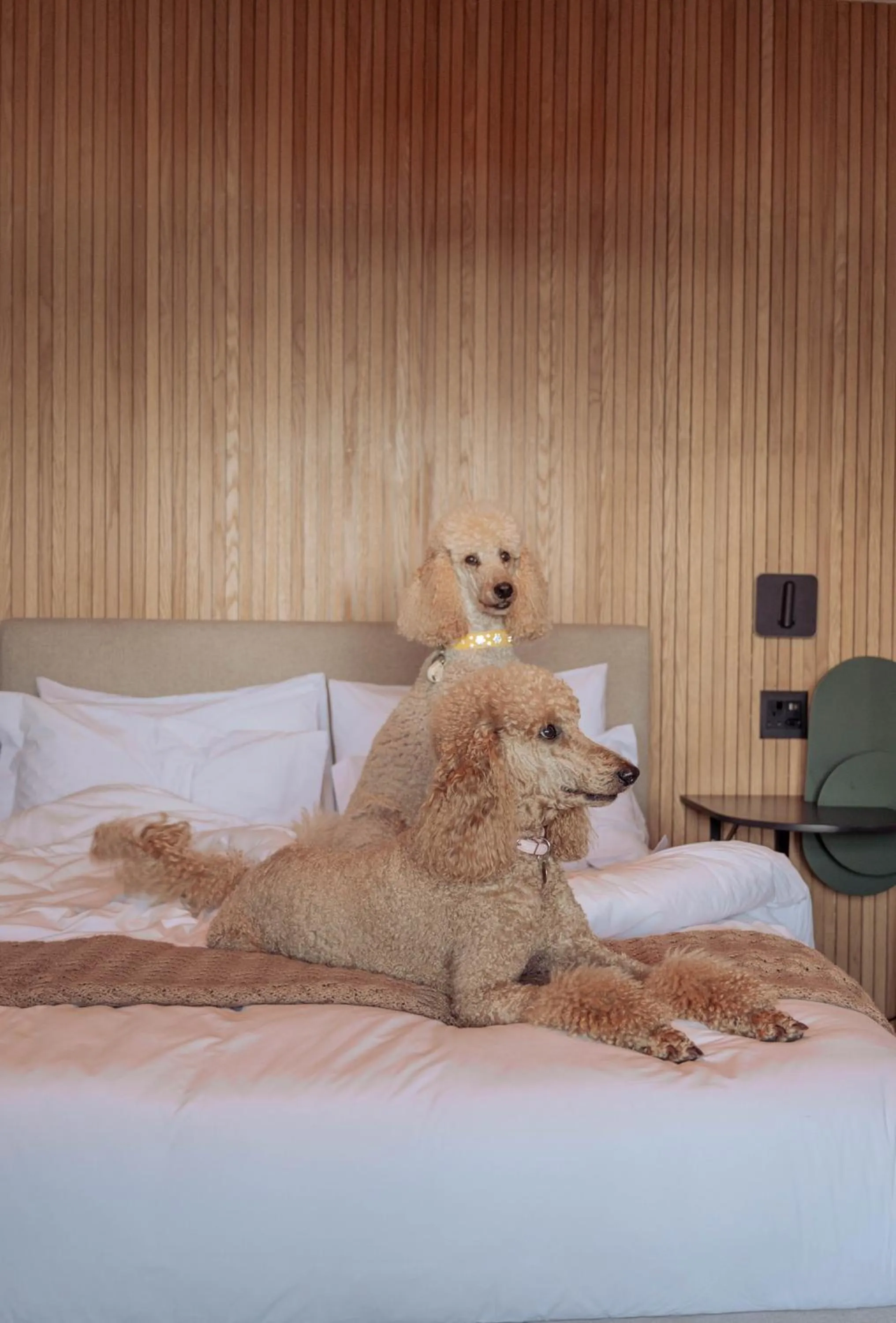 Bed in Stoep By Ideas Cartel