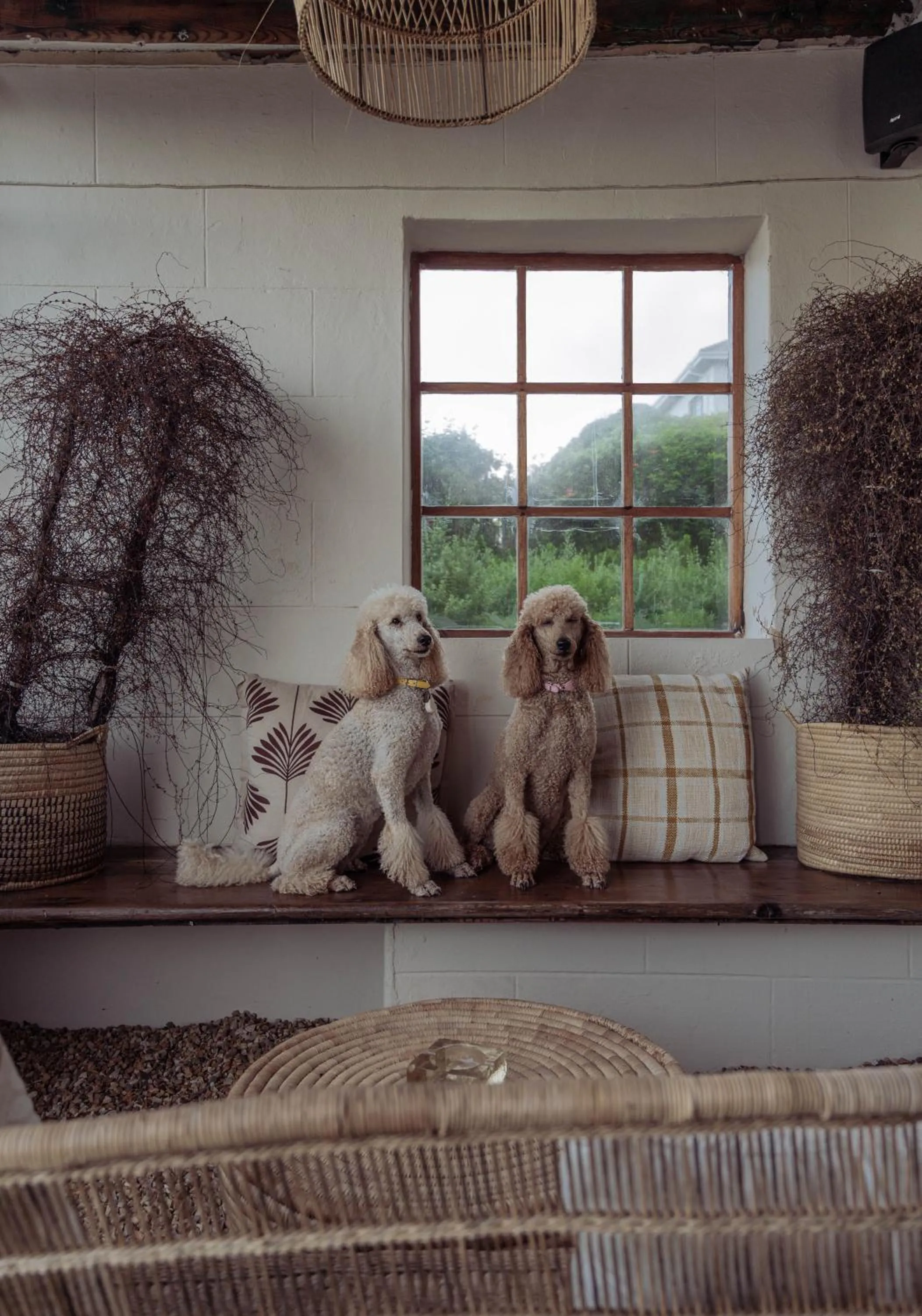 Stoep By Ideas Cartel