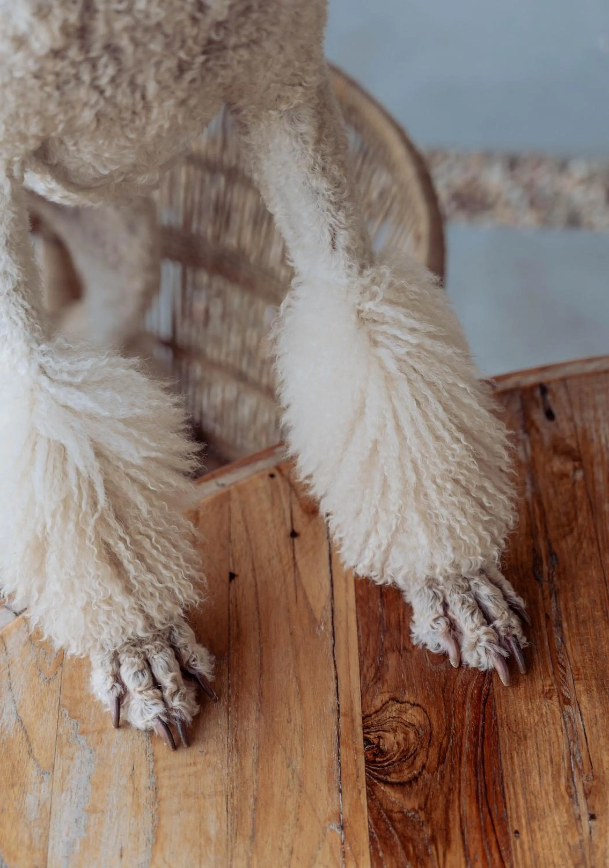 Stoep By Ideas Cartel