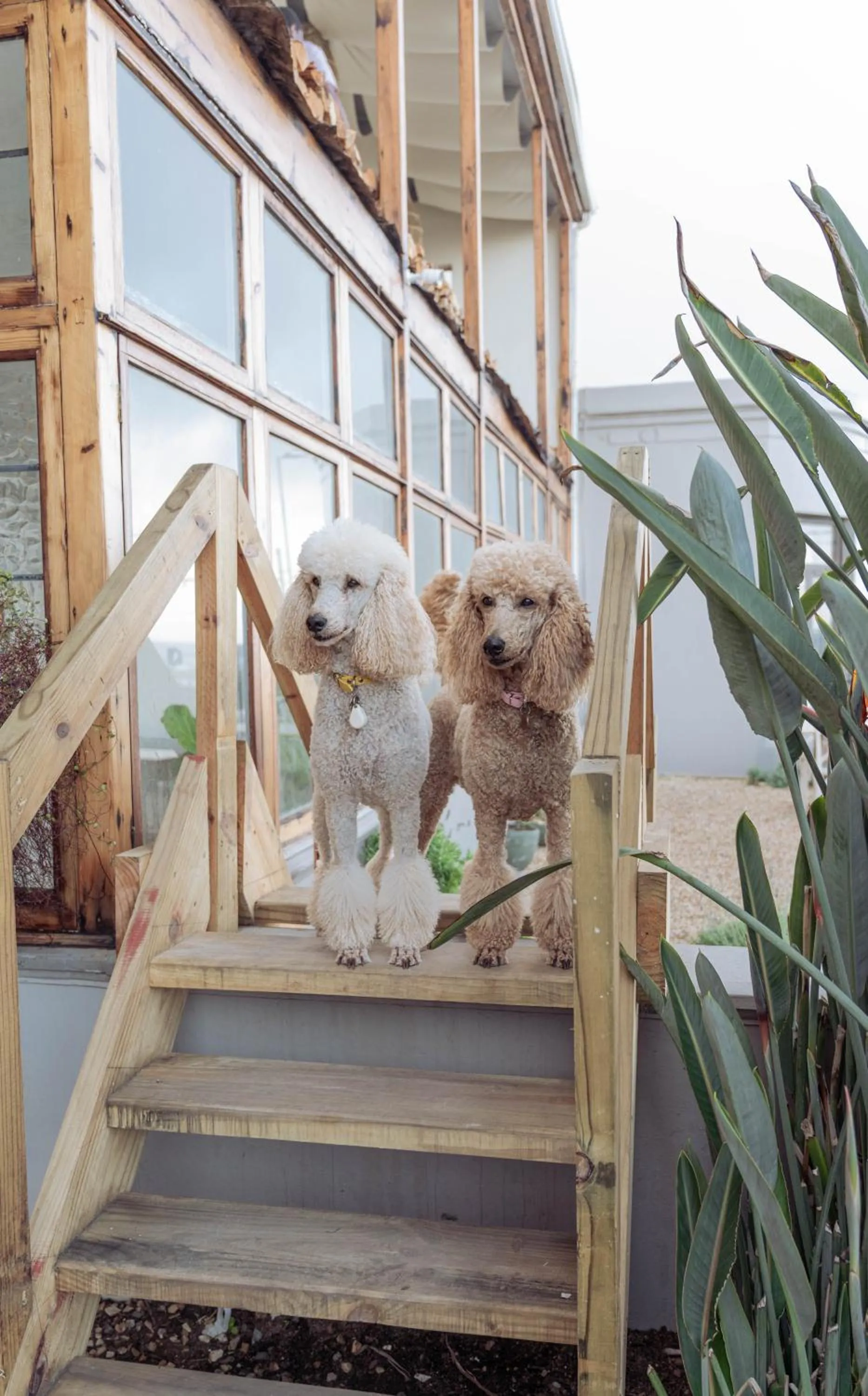 Stoep By Ideas Cartel