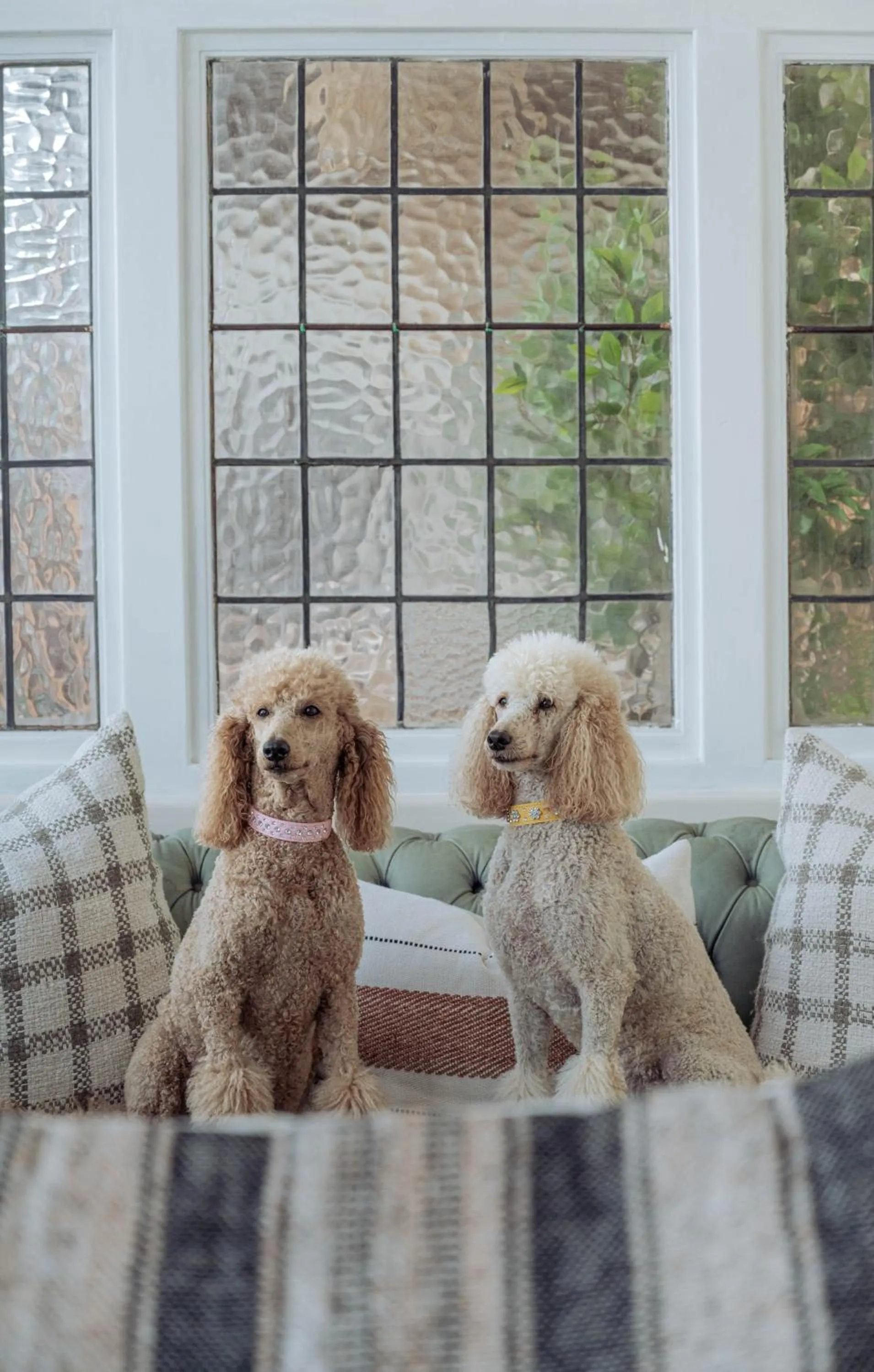 Stoep By Ideas Cartel