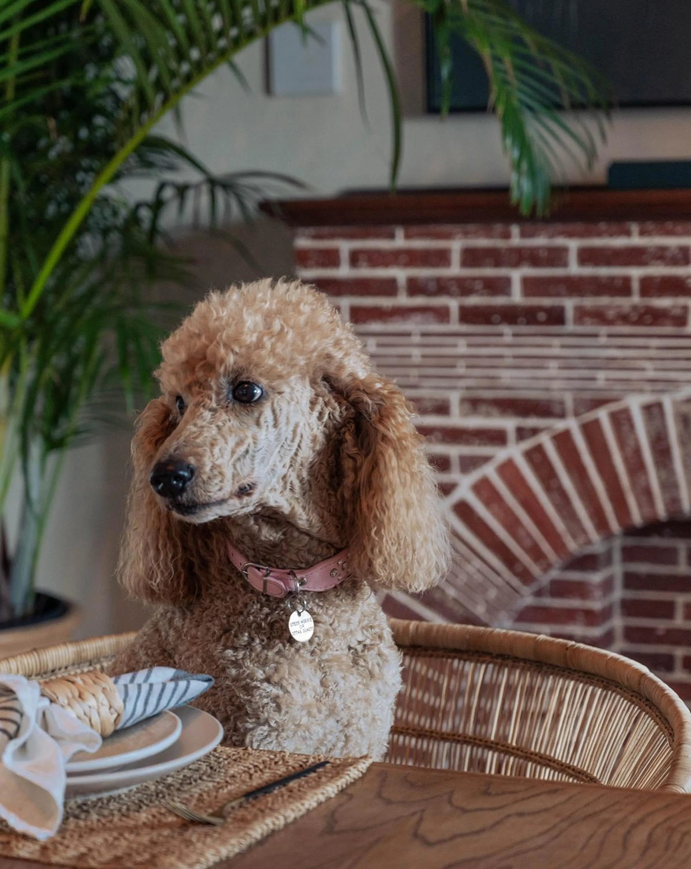 Stoep By Ideas Cartel