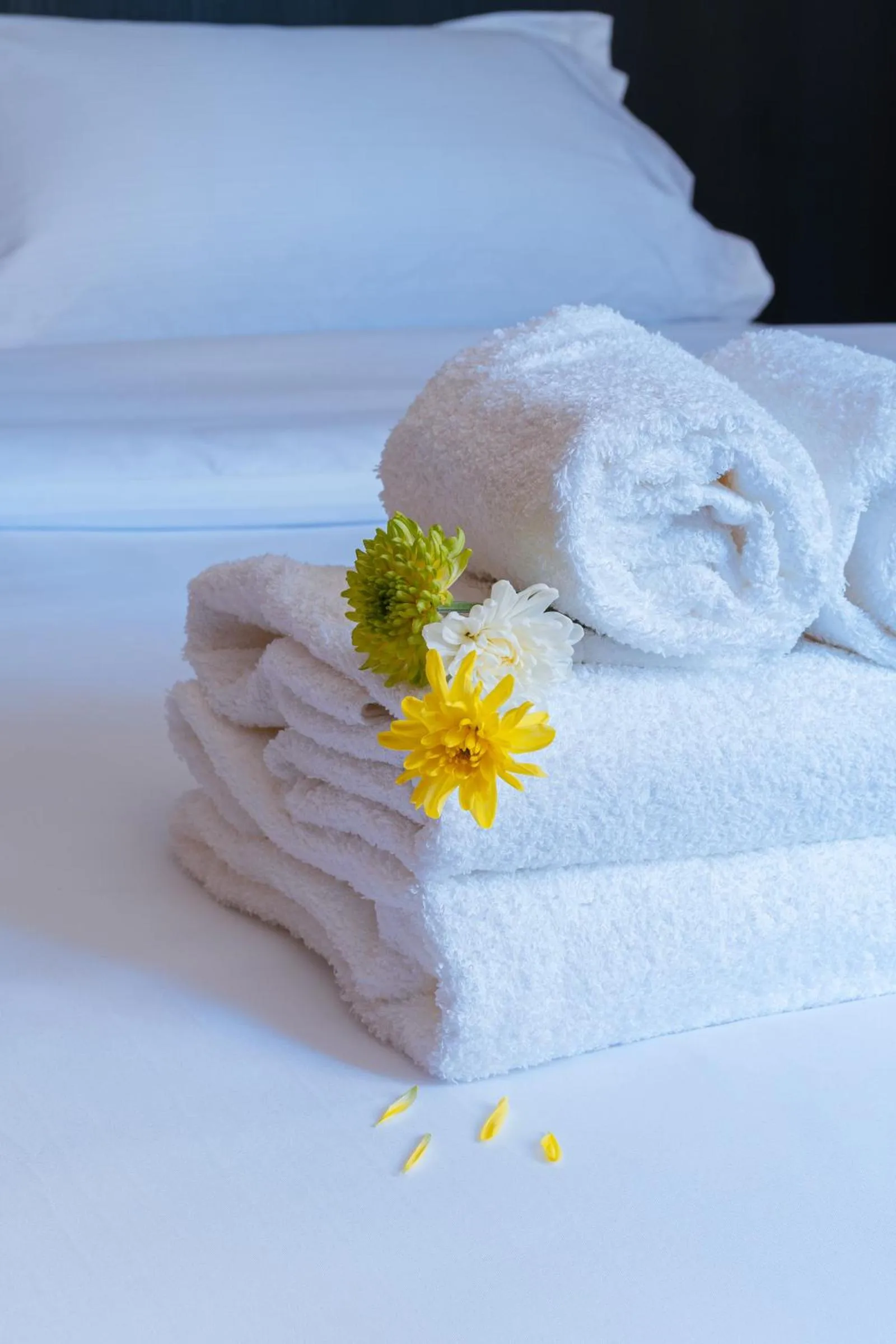 Bed in Main By Babel