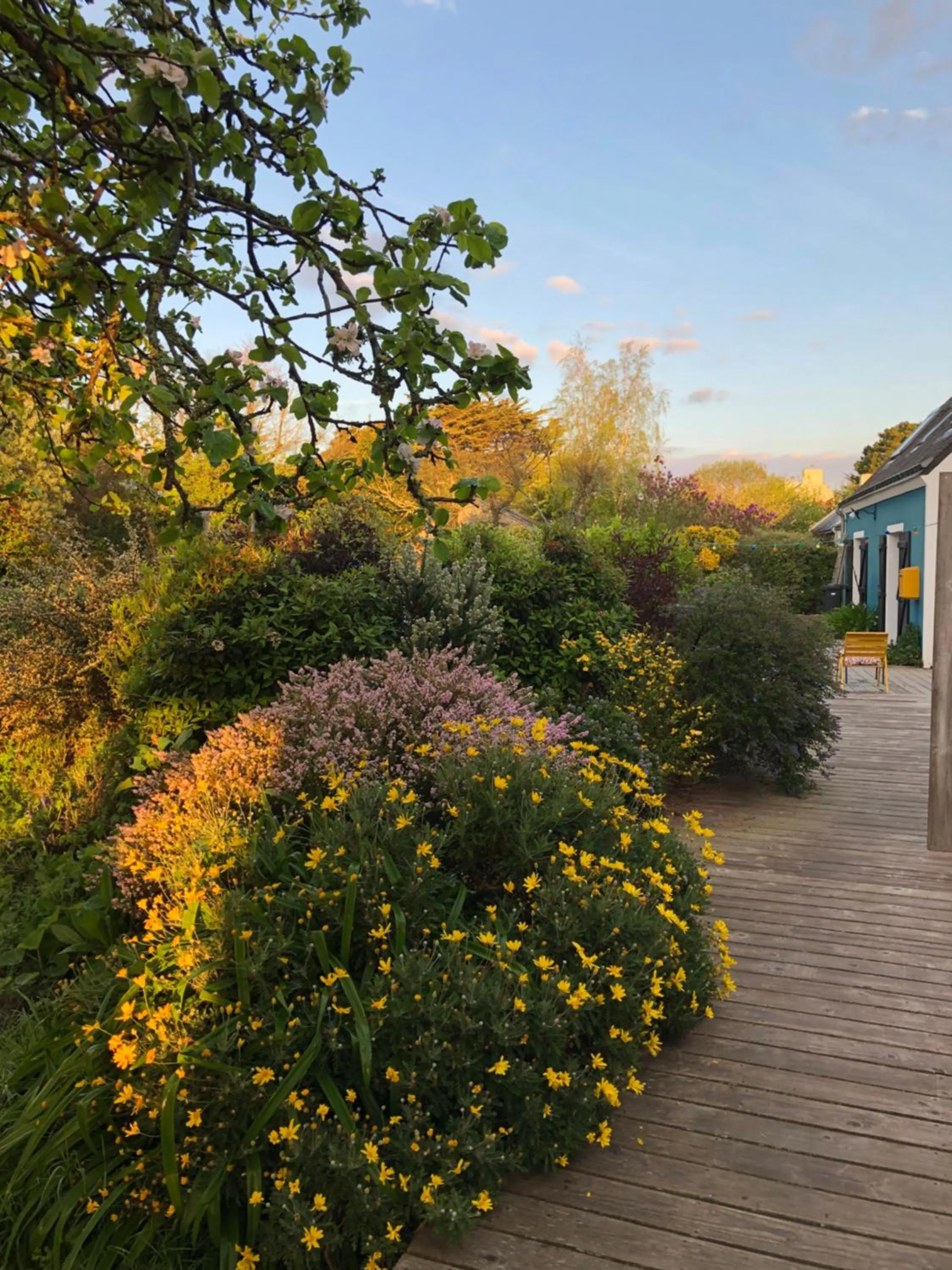 Les Chambres d'Hôtes de Bordustard