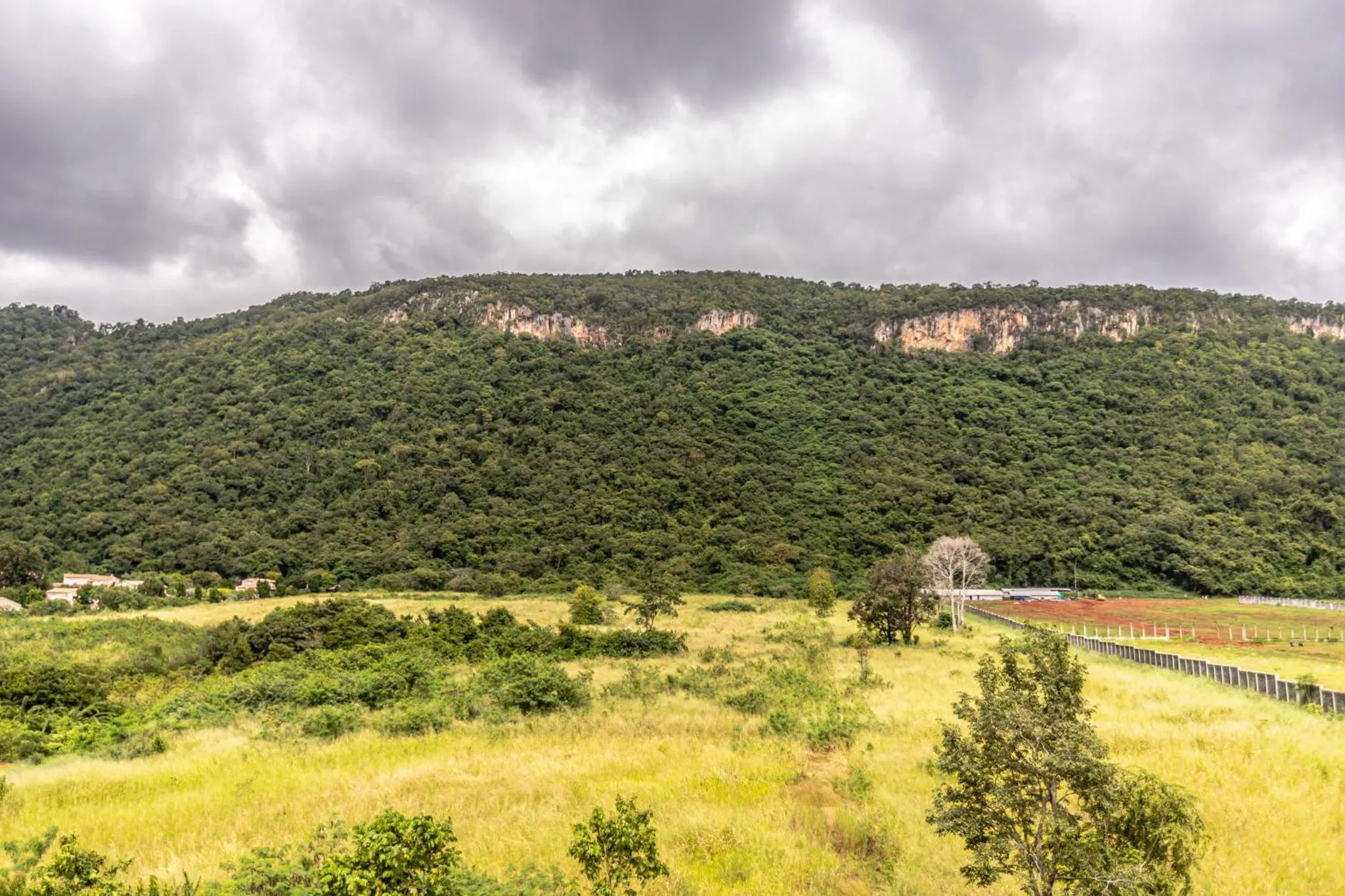 View (from property/room) in Viewpoint Khaoyai Hotel