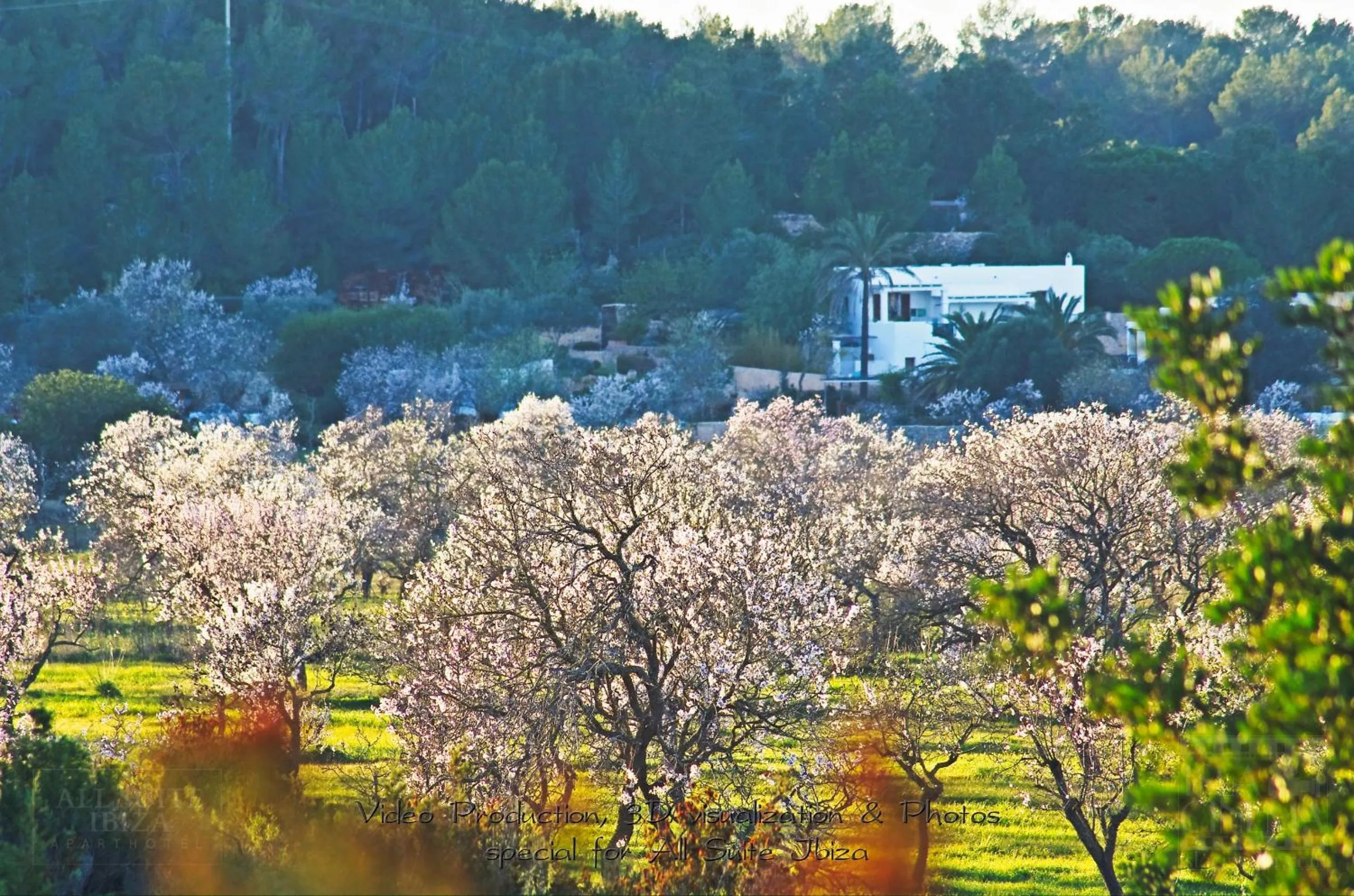 Natural landscape in All Suite Ibiza Aparthotel