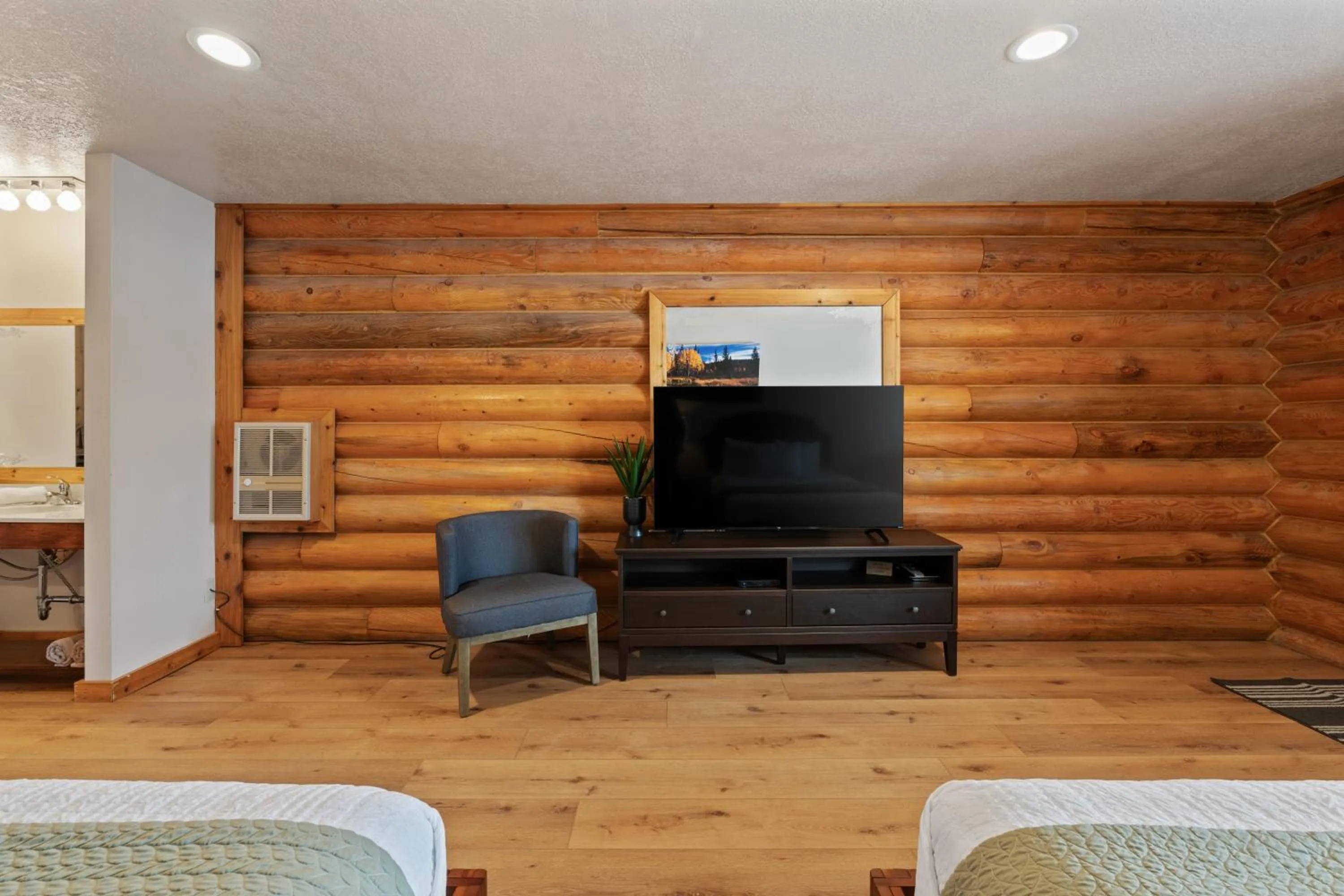 TV and multimedia in Duck Creek Village Inn