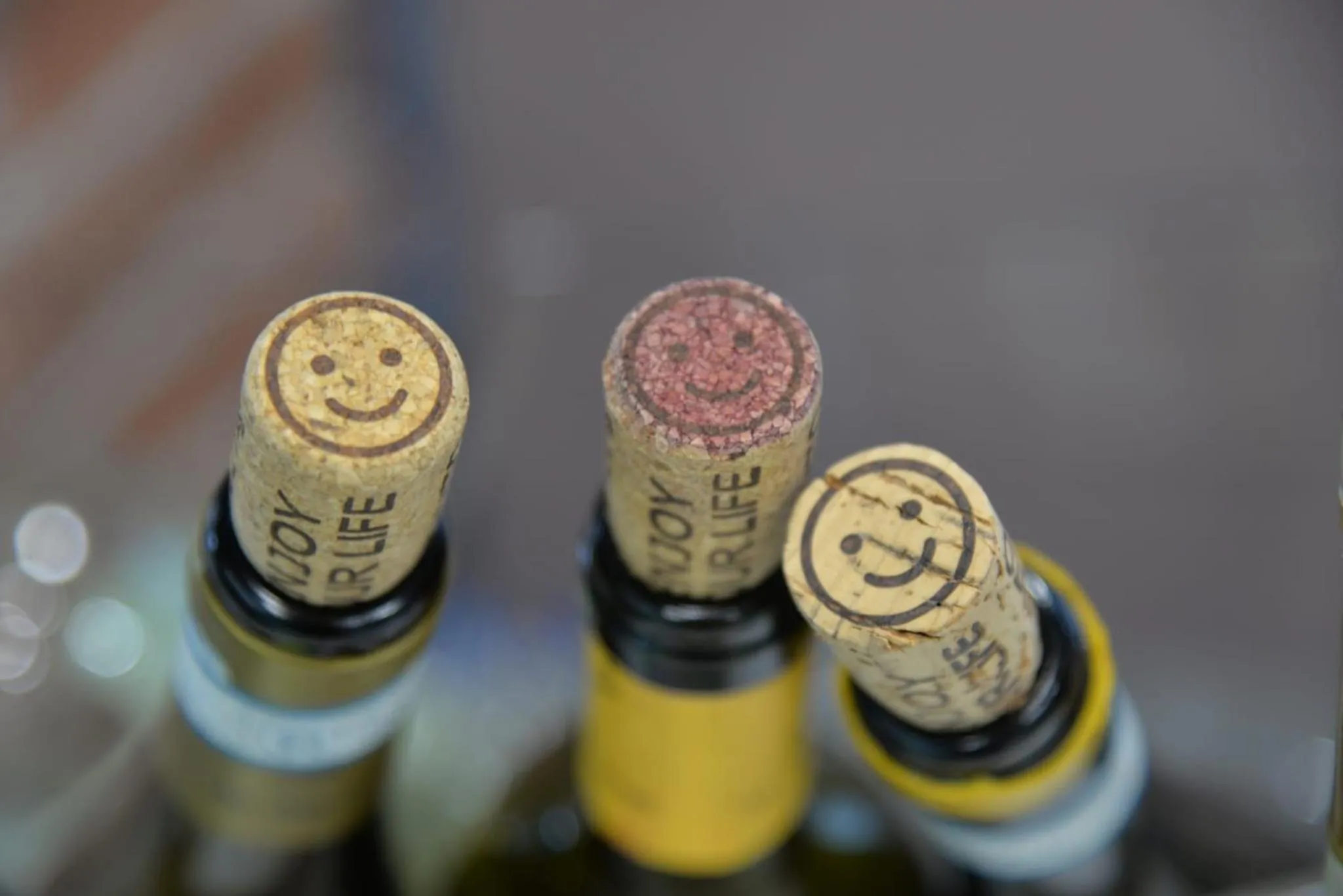 Entertainment in B&B Le Albare