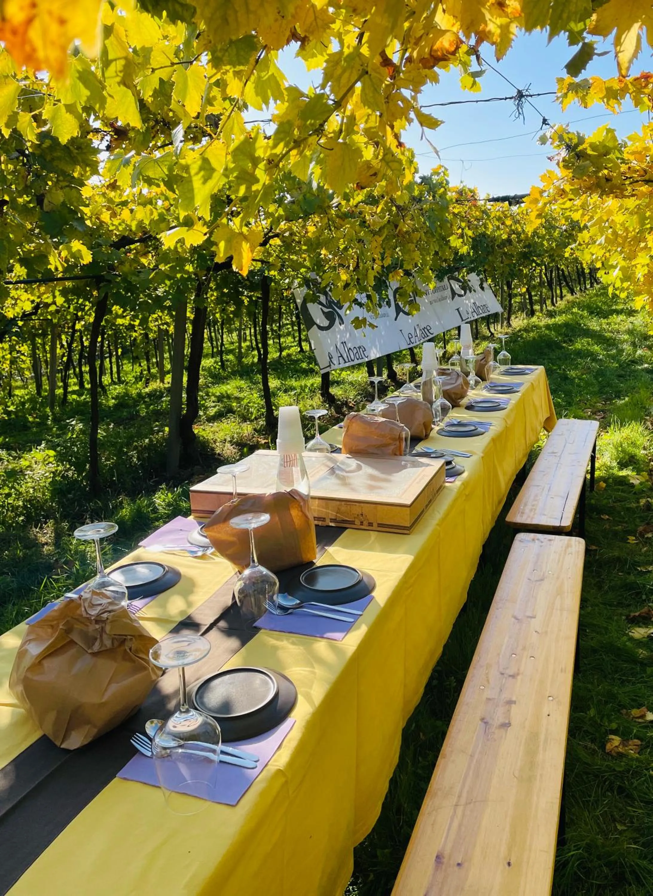 Garden in B&B Le Albare