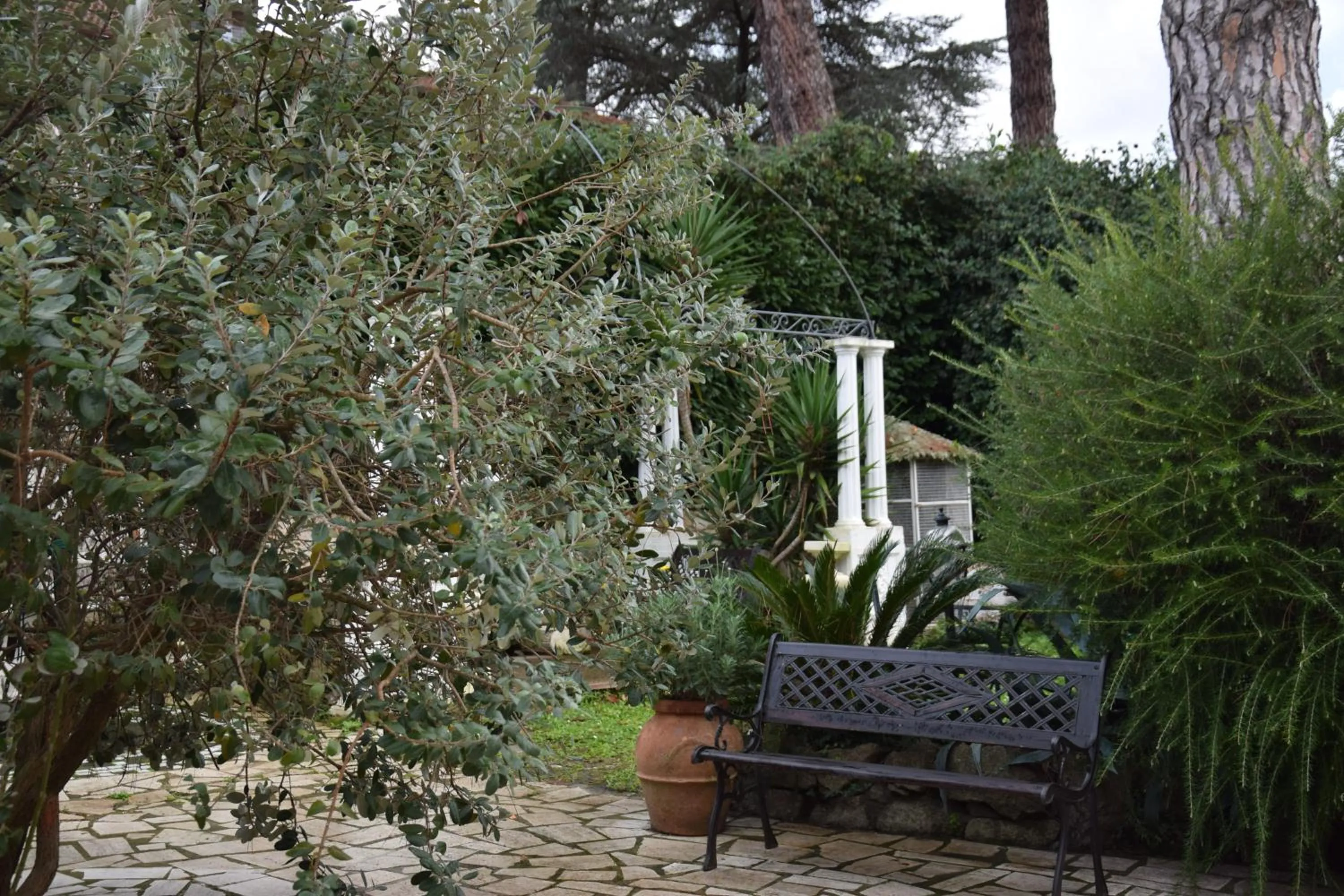 B&B Vittoria Colonna