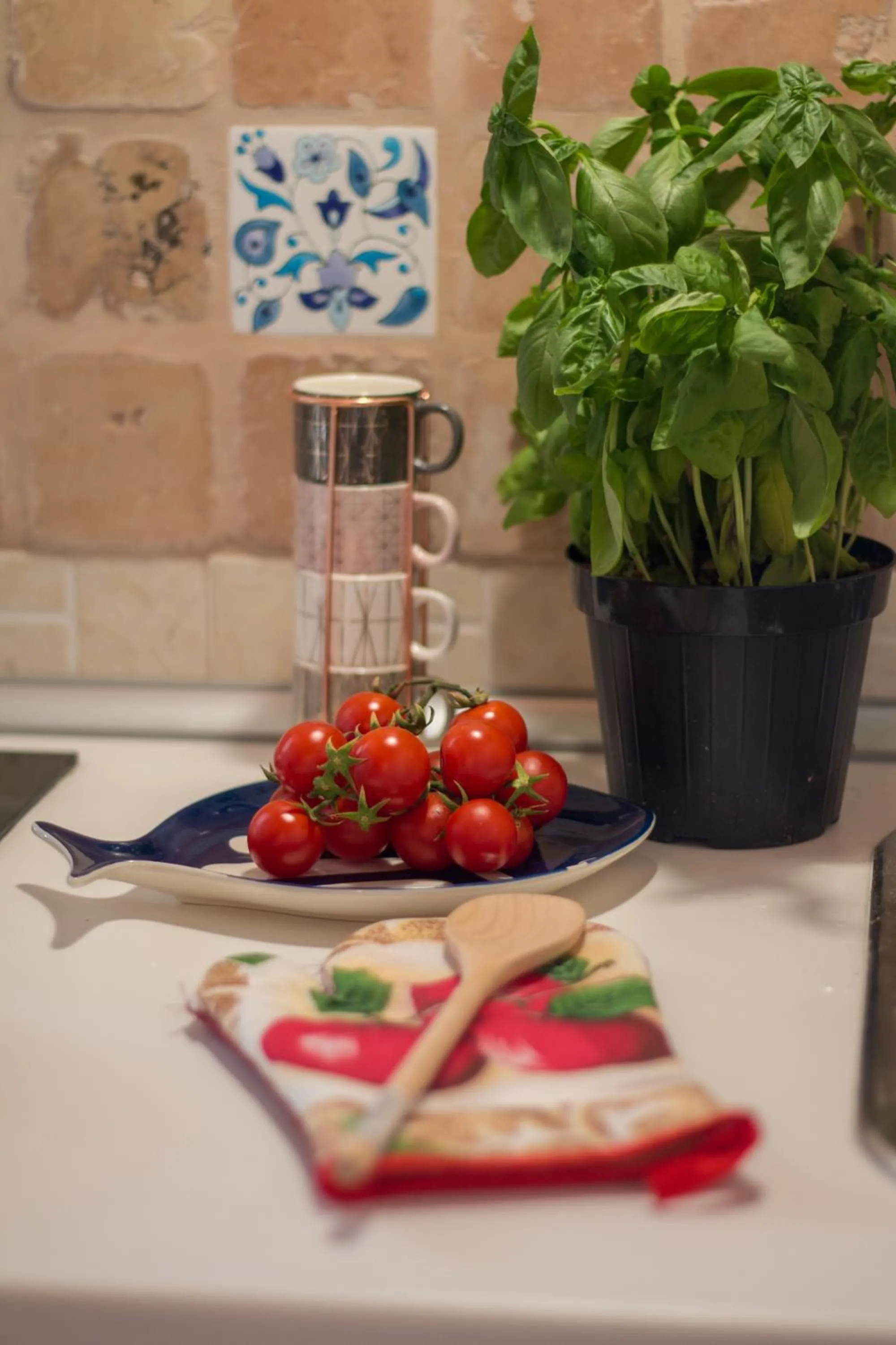 Food close-up in HolidayMonopoli