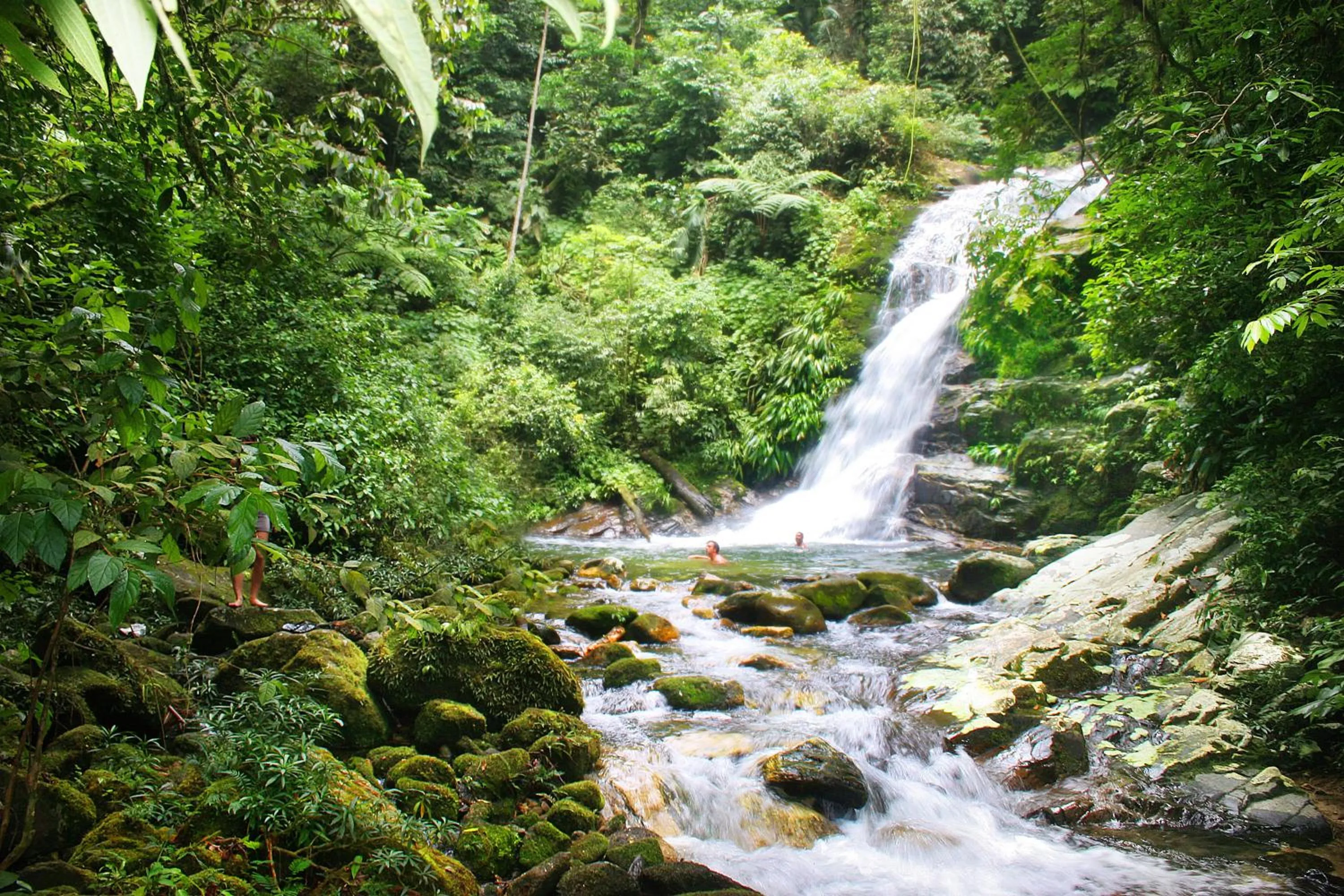 Natural landscape in Smart Hotel Pousada Reserva Camburi