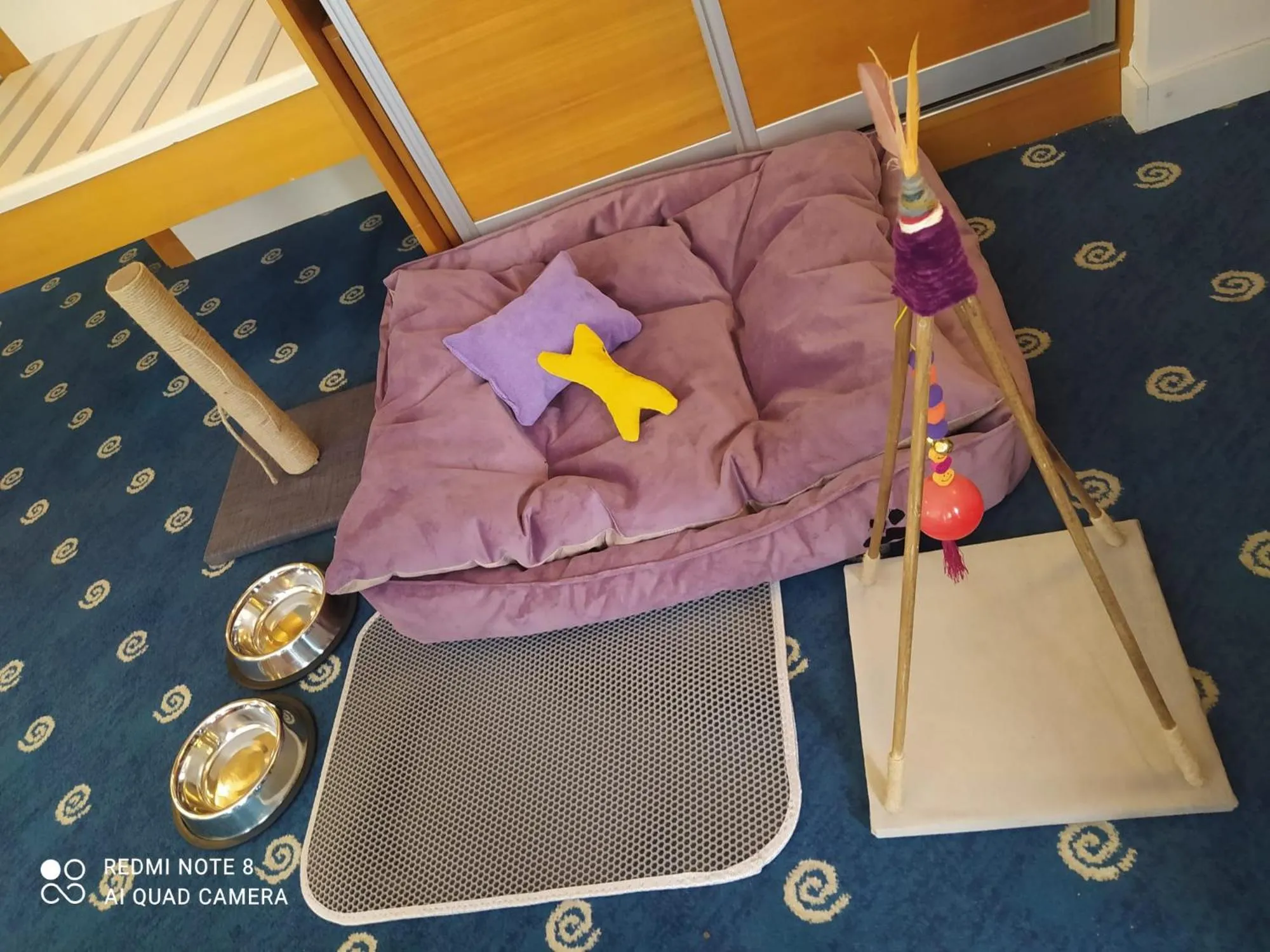 Pets in Best Western Plus Hotel Konak