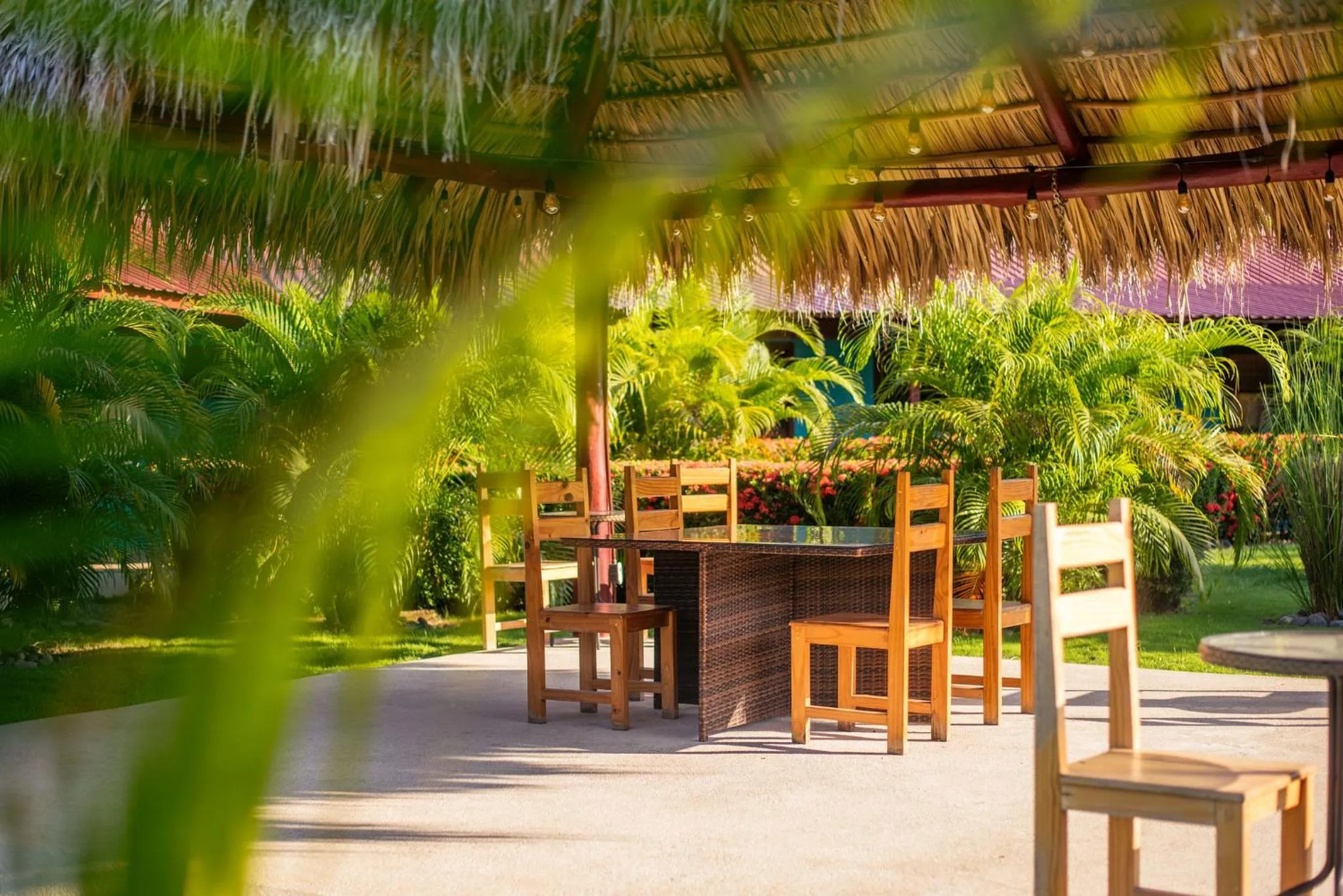 Garden view in Beach Break Resort & CR Surf Camp