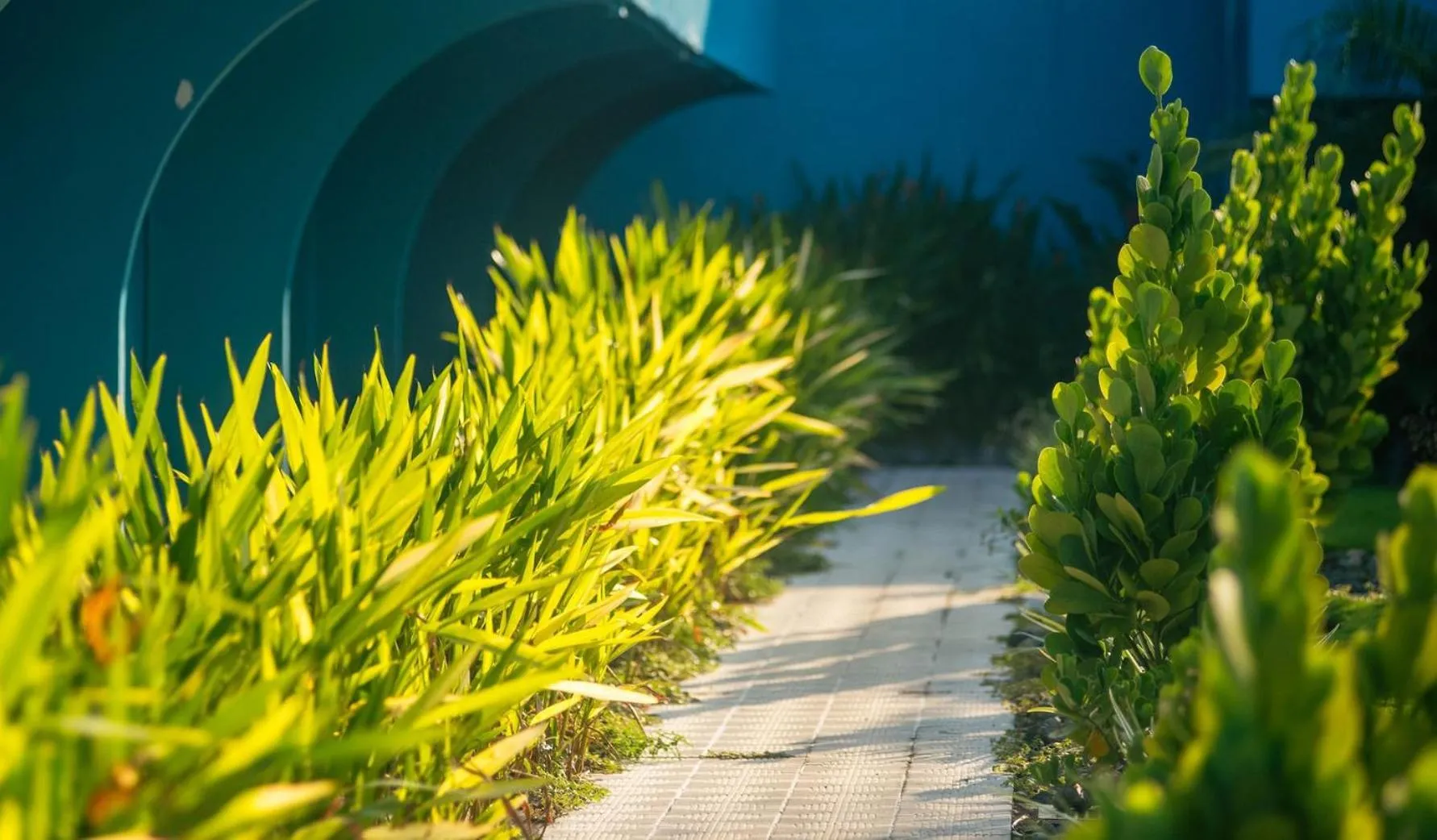 Beach Break Resort & CR Surf Camp