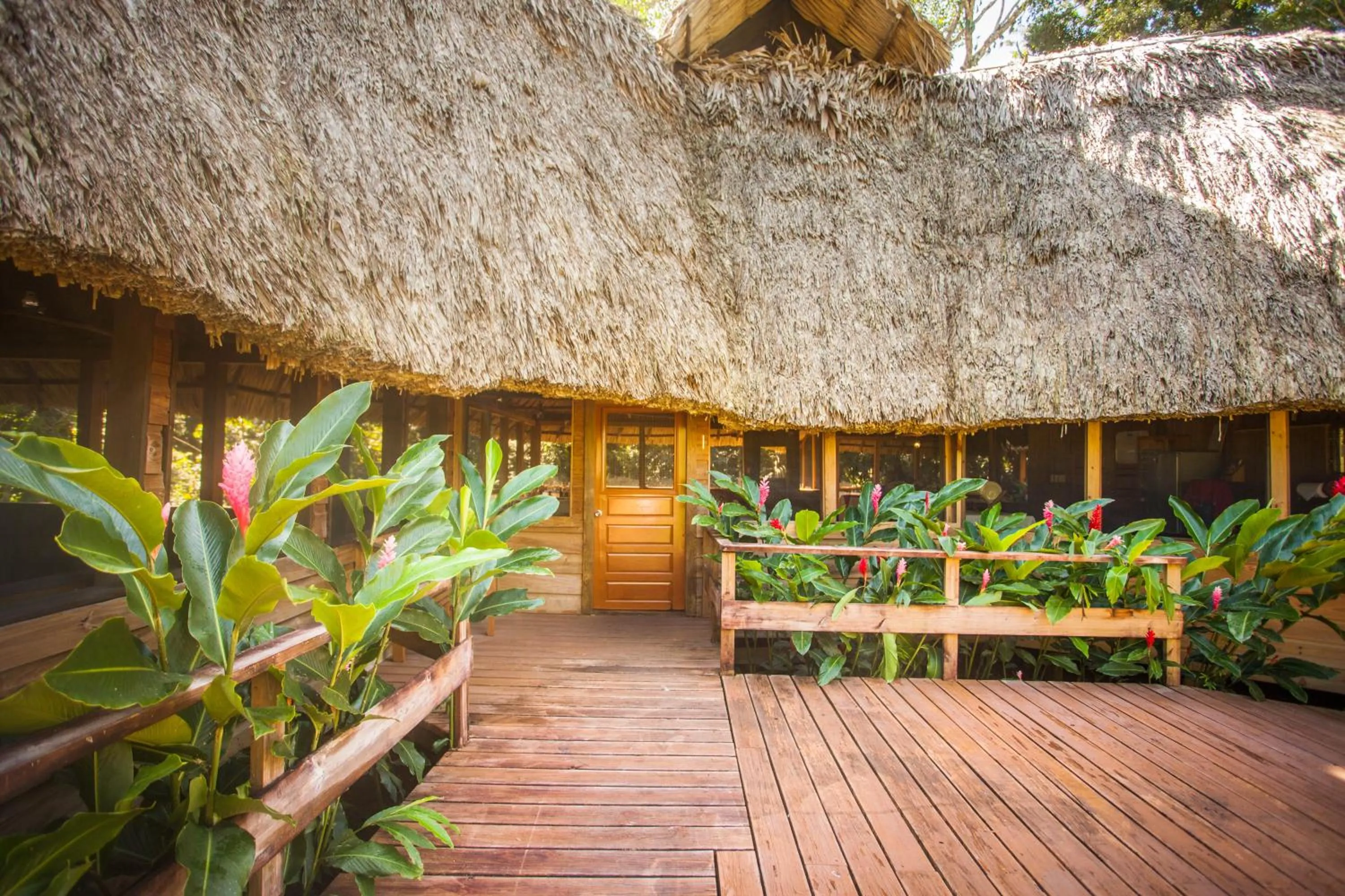 Restaurant/places to eat in Jaguar Creek