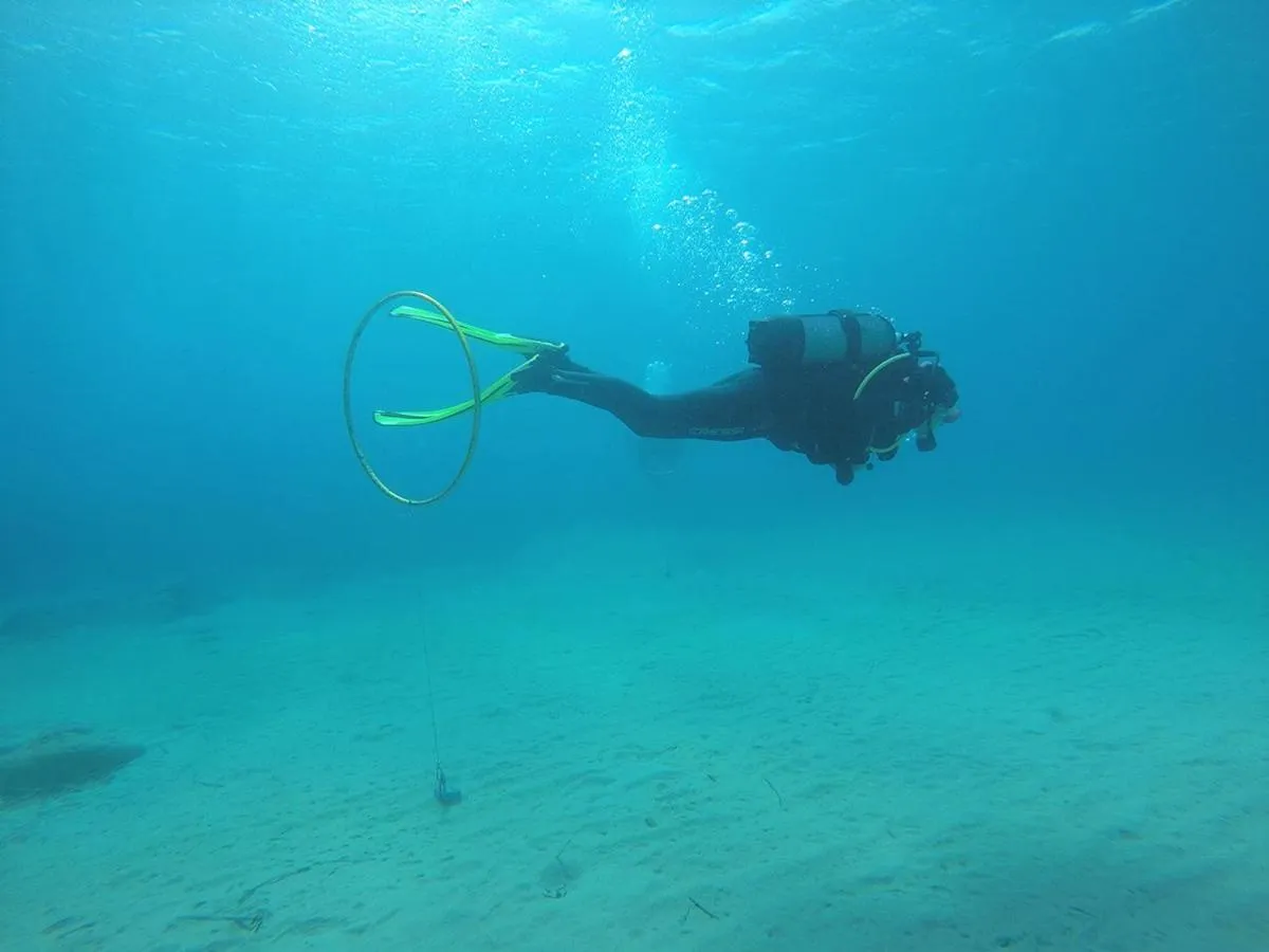 Activities in Brown Beach Evia Island, All Inclusive in Eretria, a member of Brown Hotels