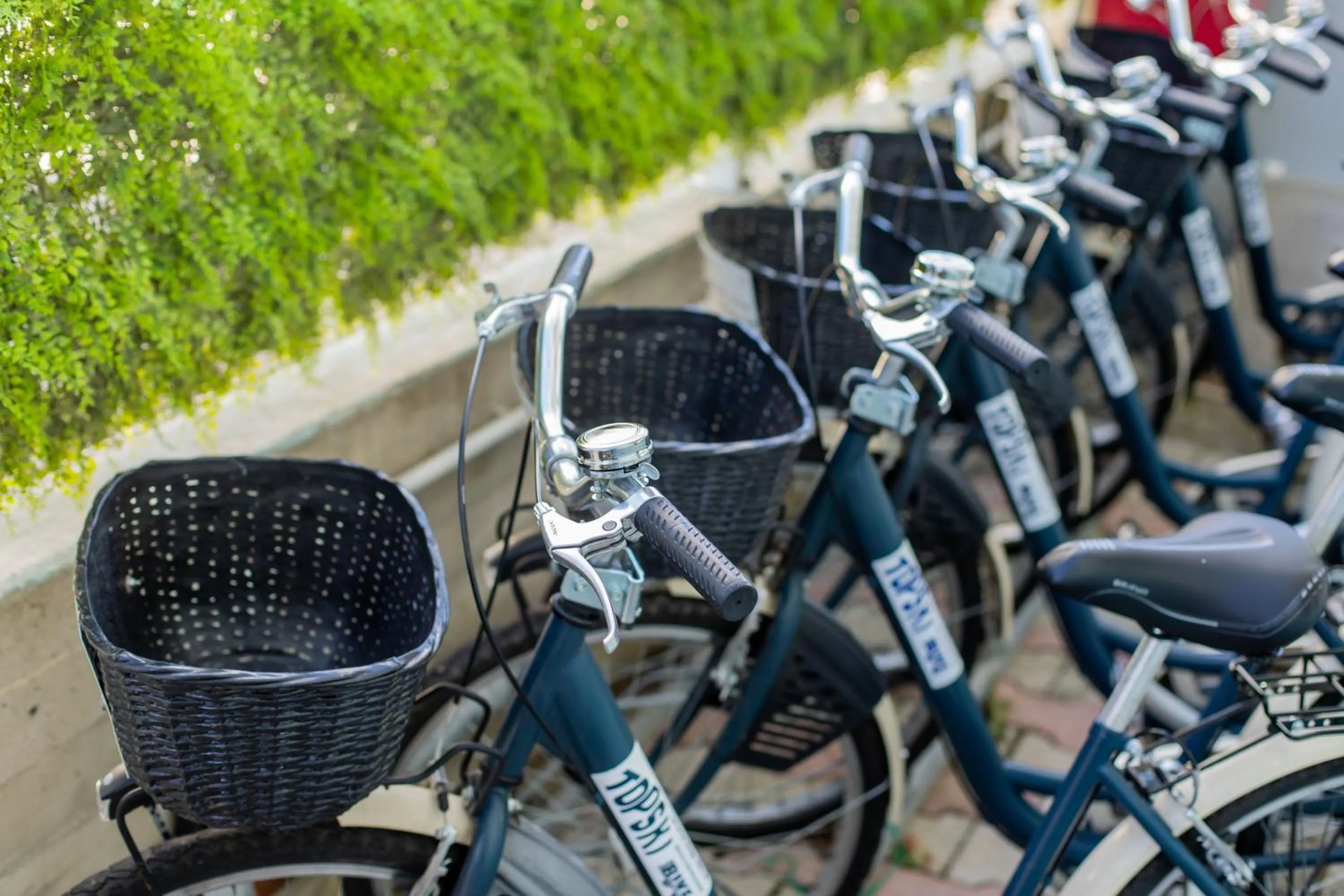 Day in Hotel Continental