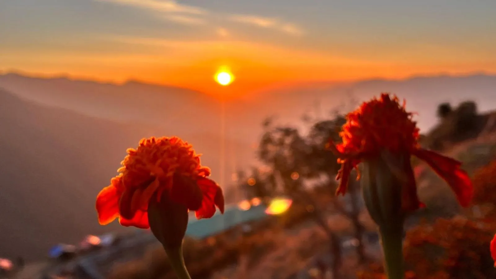 Activities in WANDER THRIVES INN By Ads Manali