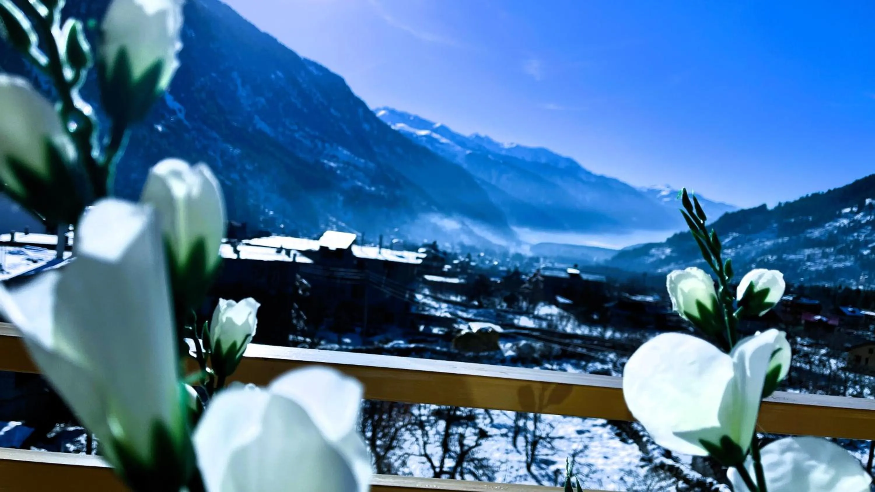 Natural landscape in WANDER THRIVES INN By Ads Manali