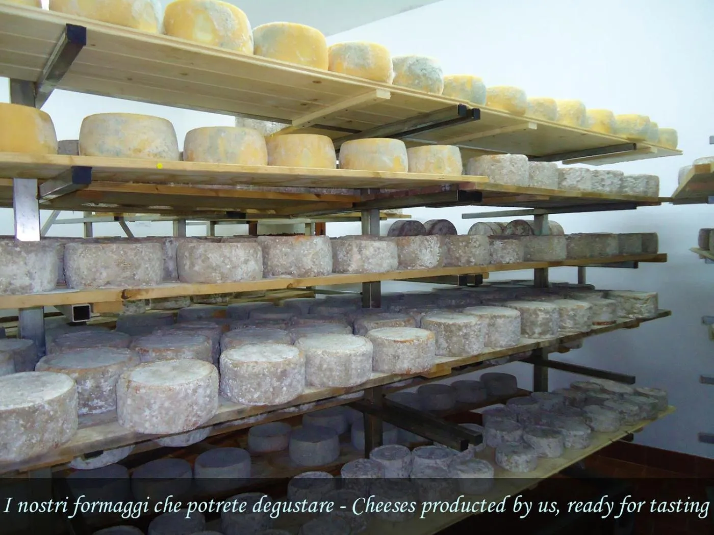 Meals in Chicchiritanos