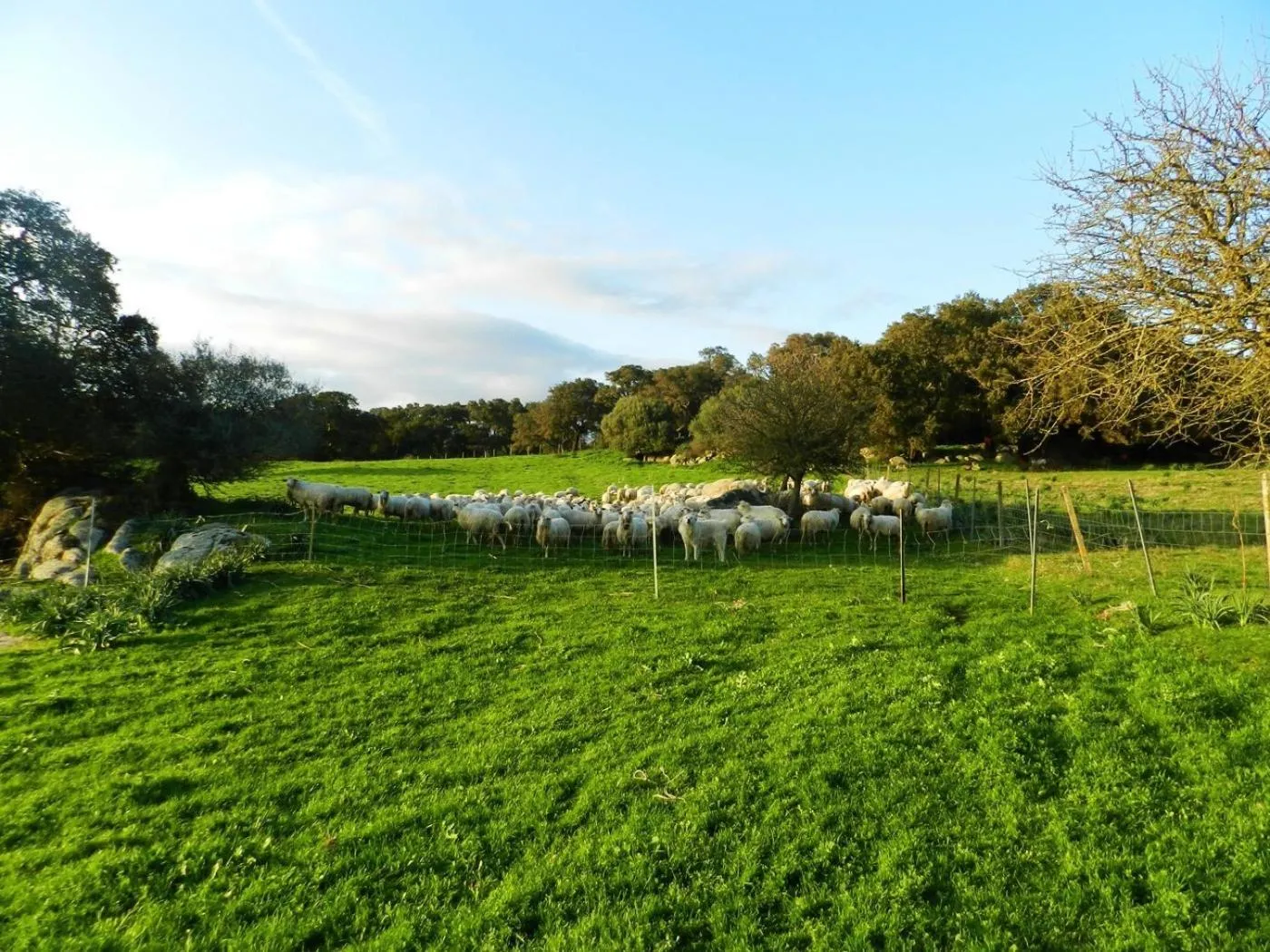 Nearby landmark in Chicchiritanos