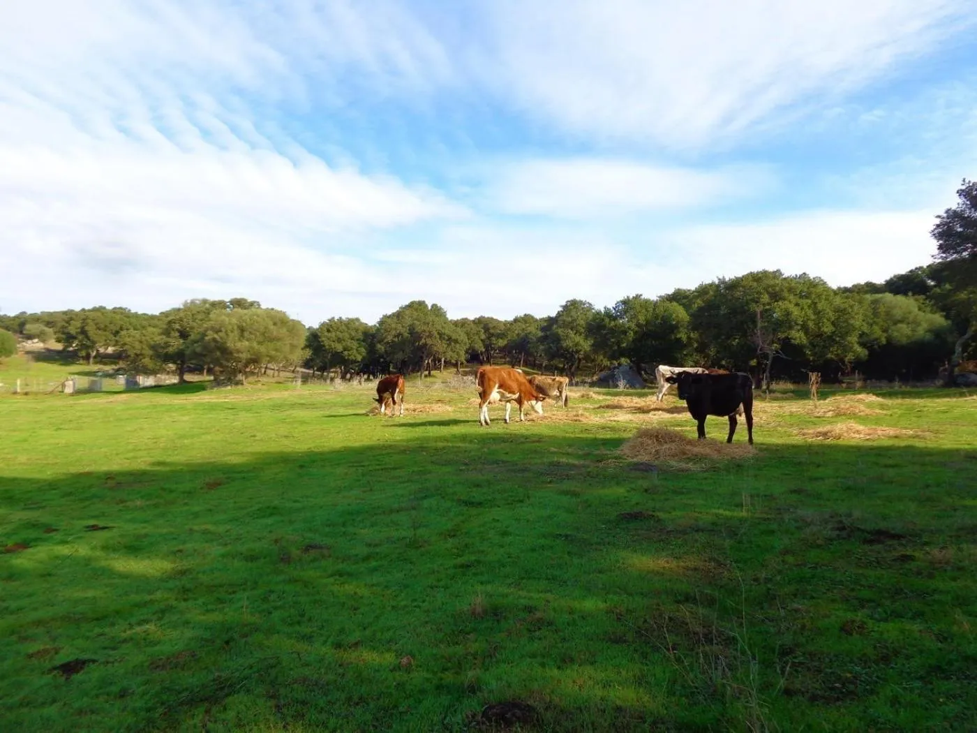 Nearby landmark in Chicchiritanos