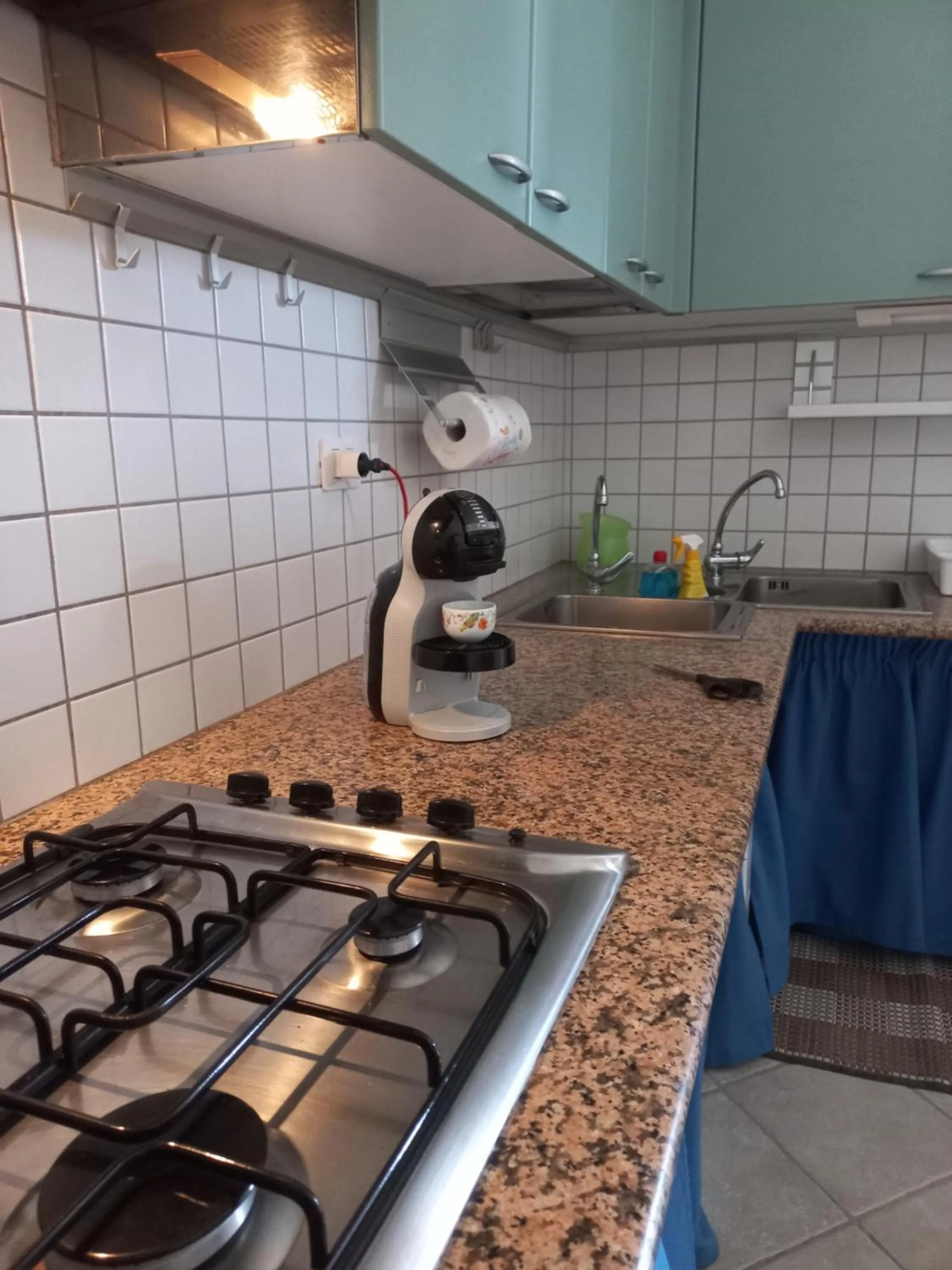 Kitchen or kitchenette in Chicchiritanos