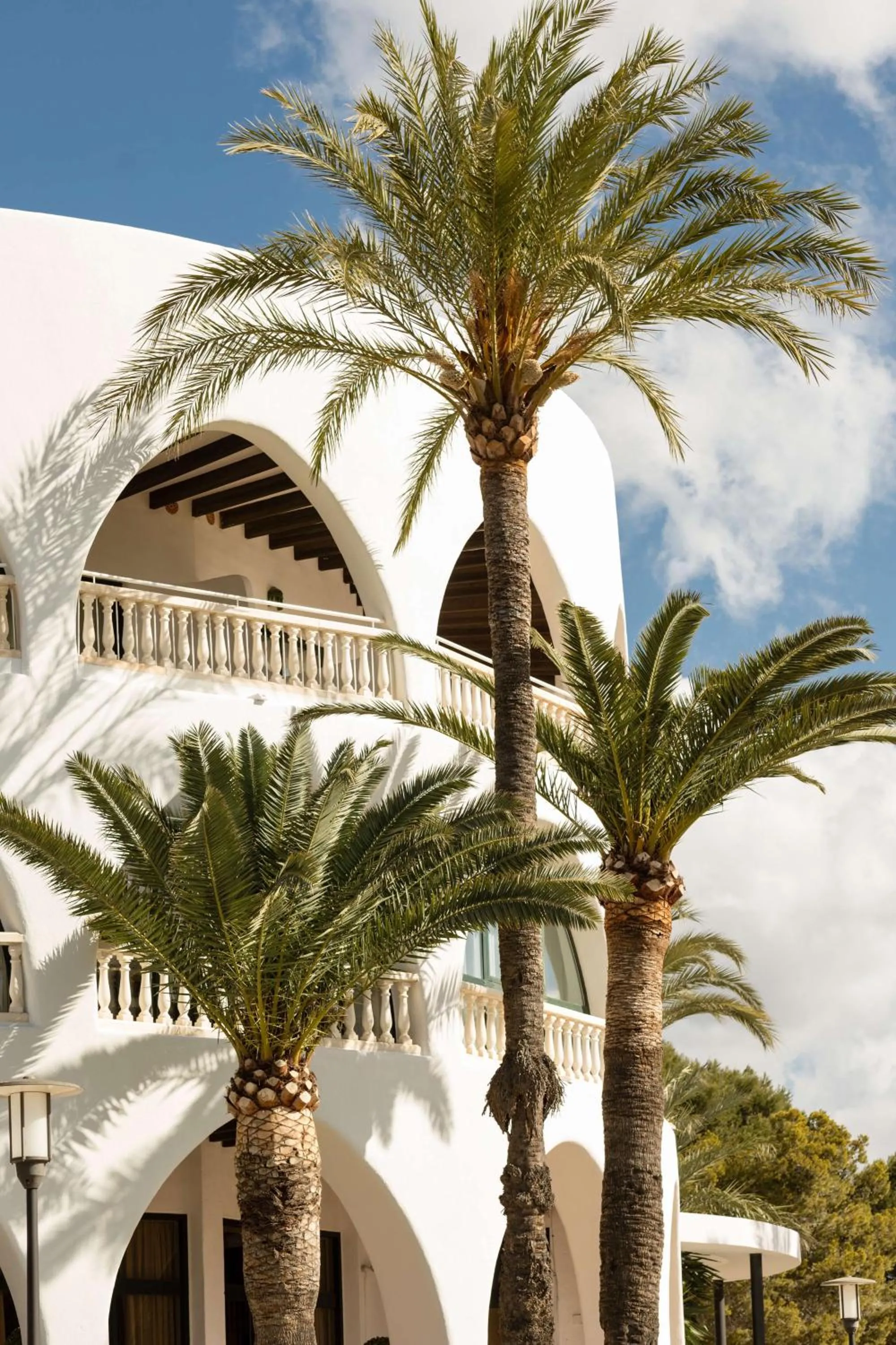 Garden in Hilton Mallorca Galatzo