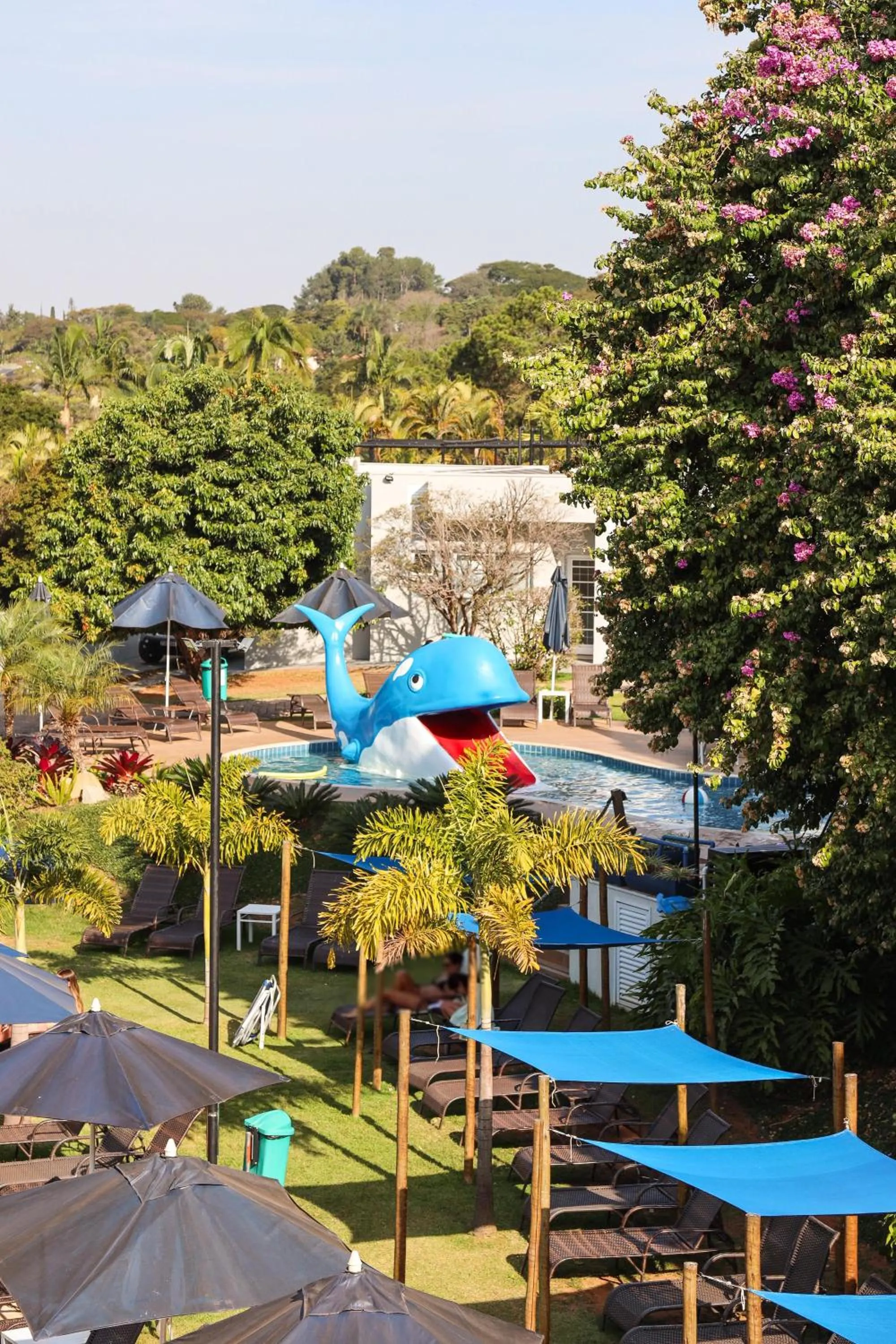 Swimming pool in Valinhos Plaza Hotel