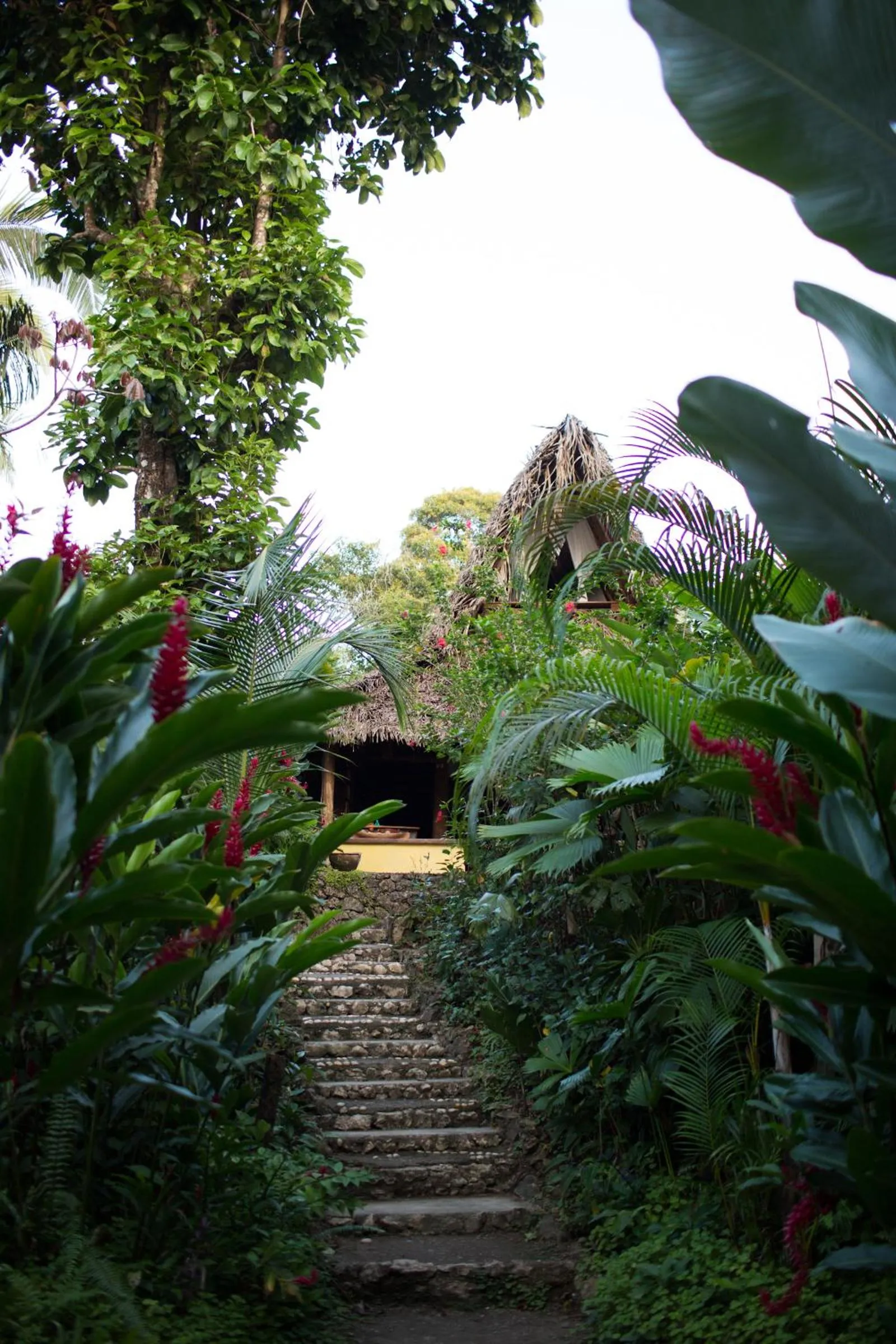 Patio in El Hotelito Perdido