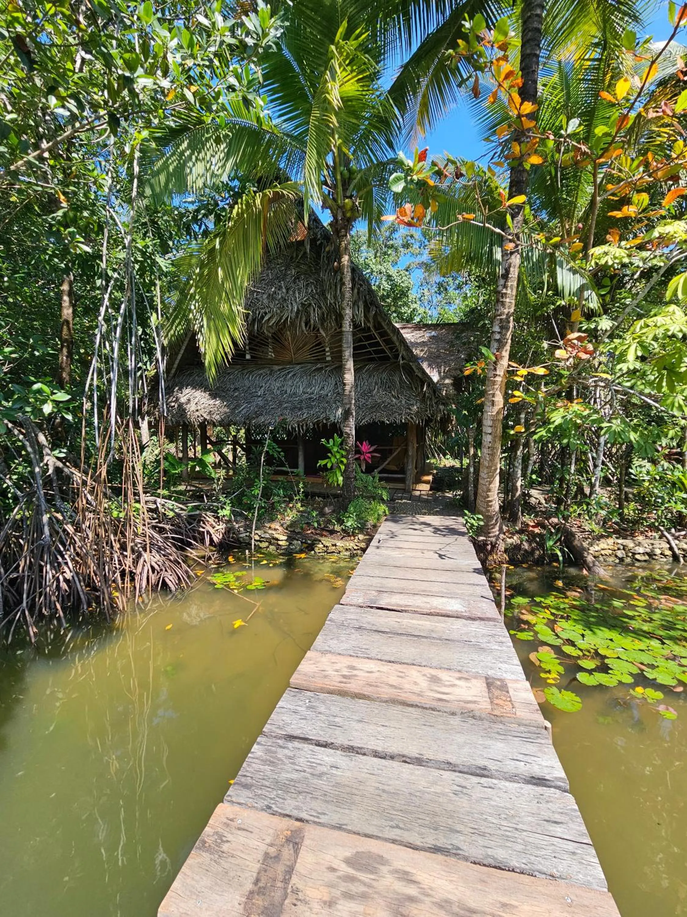 Property building in El Hotelito Perdido