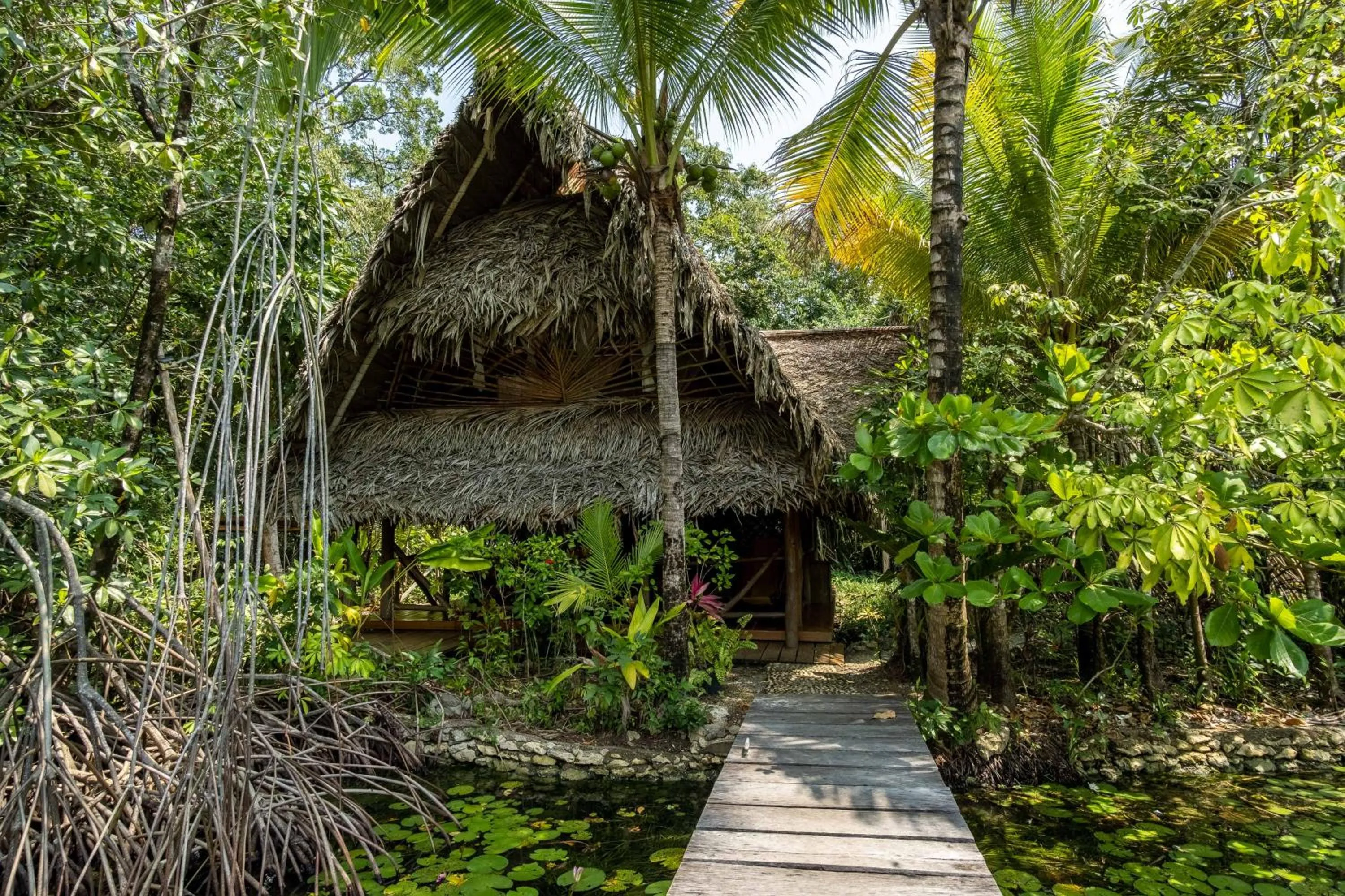 Property building in El Hotelito Perdido