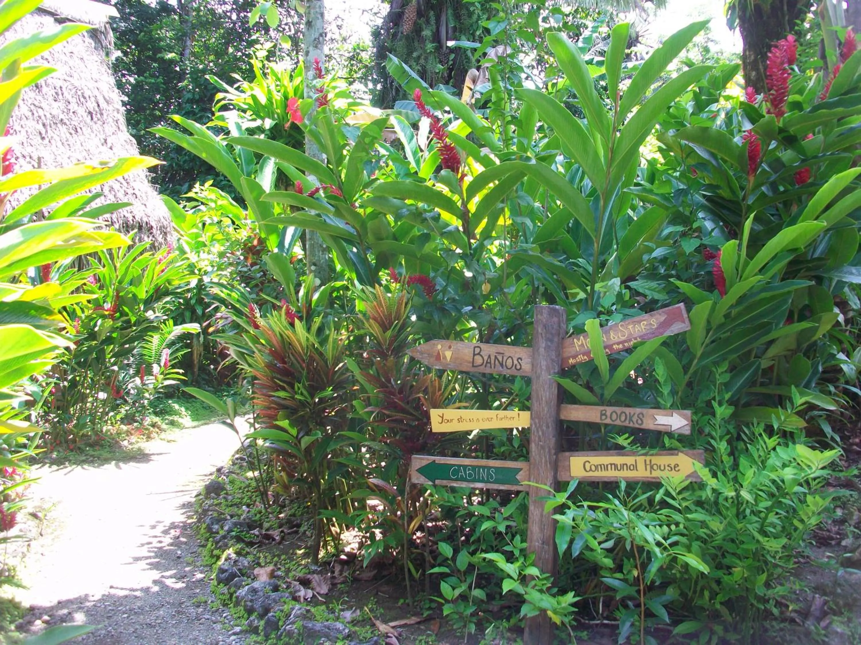 Garden in El Hotelito Perdido
