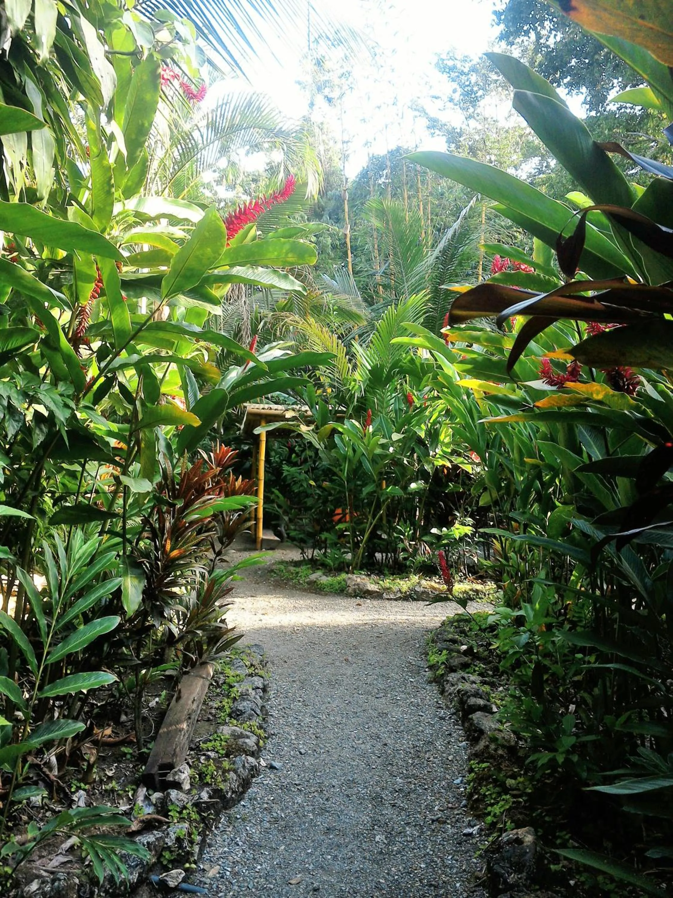 Garden in El Hotelito Perdido