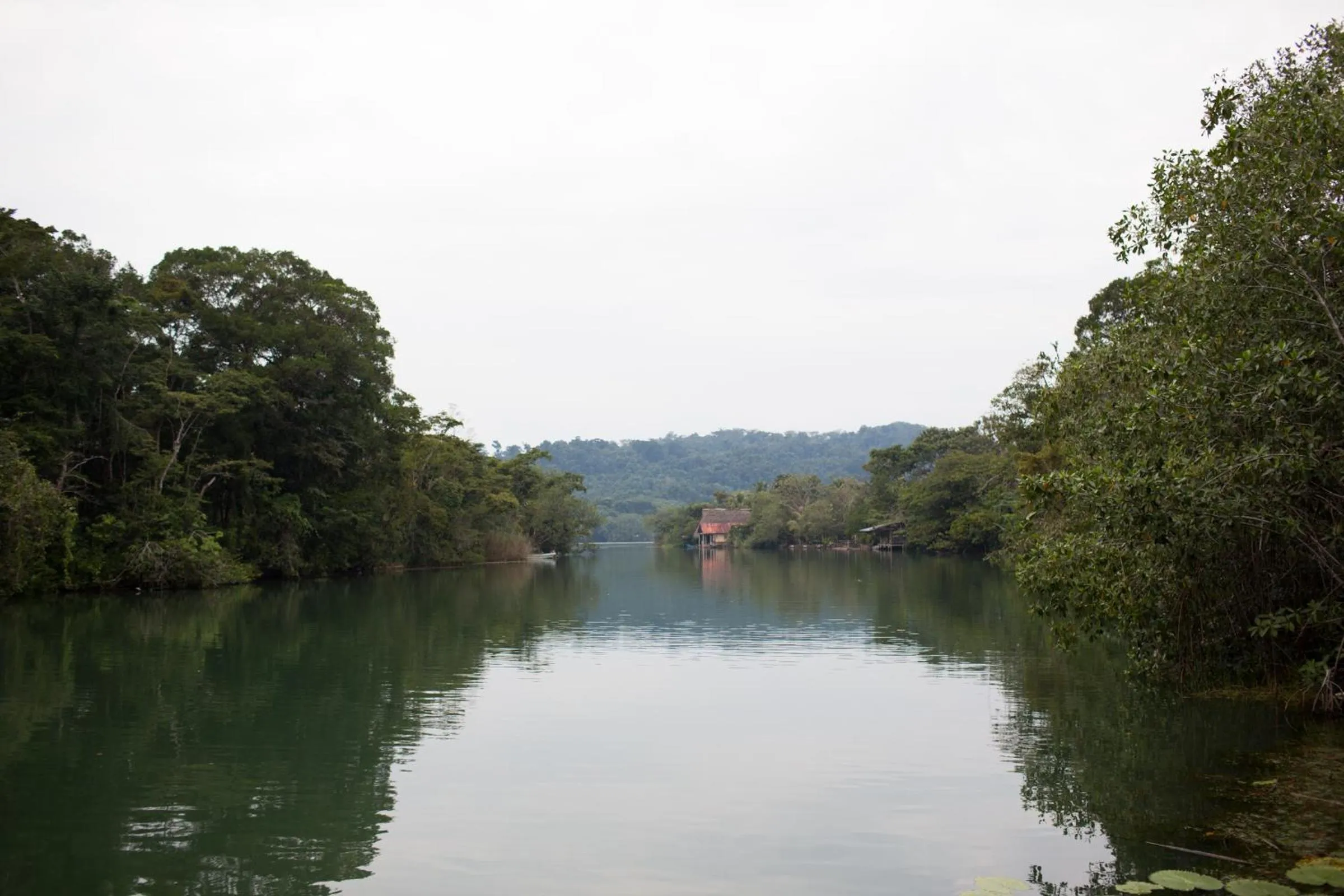 Neighbourhood in El Hotelito Perdido