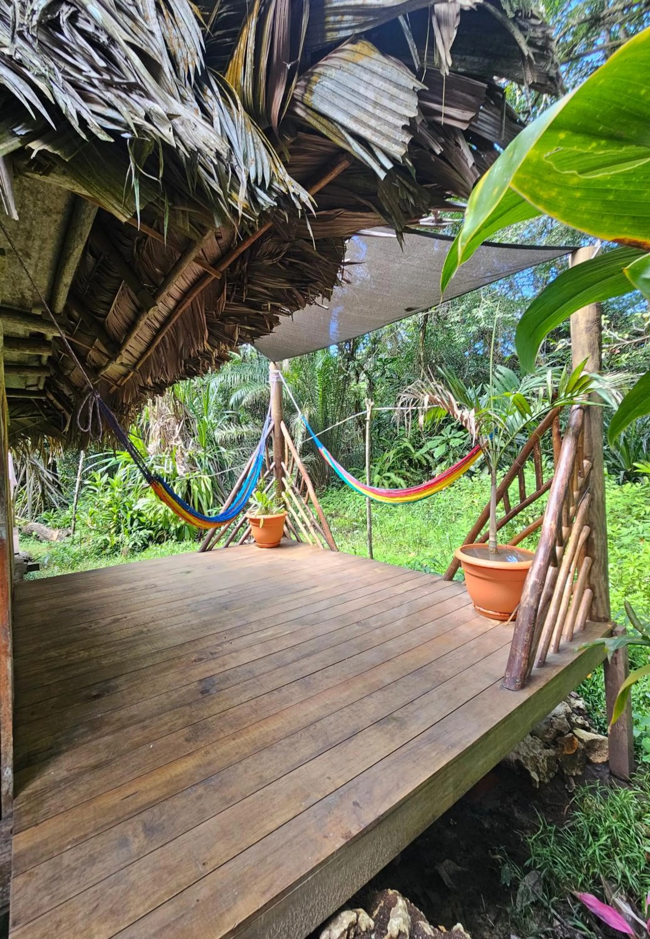 Patio in El Hotelito Perdido